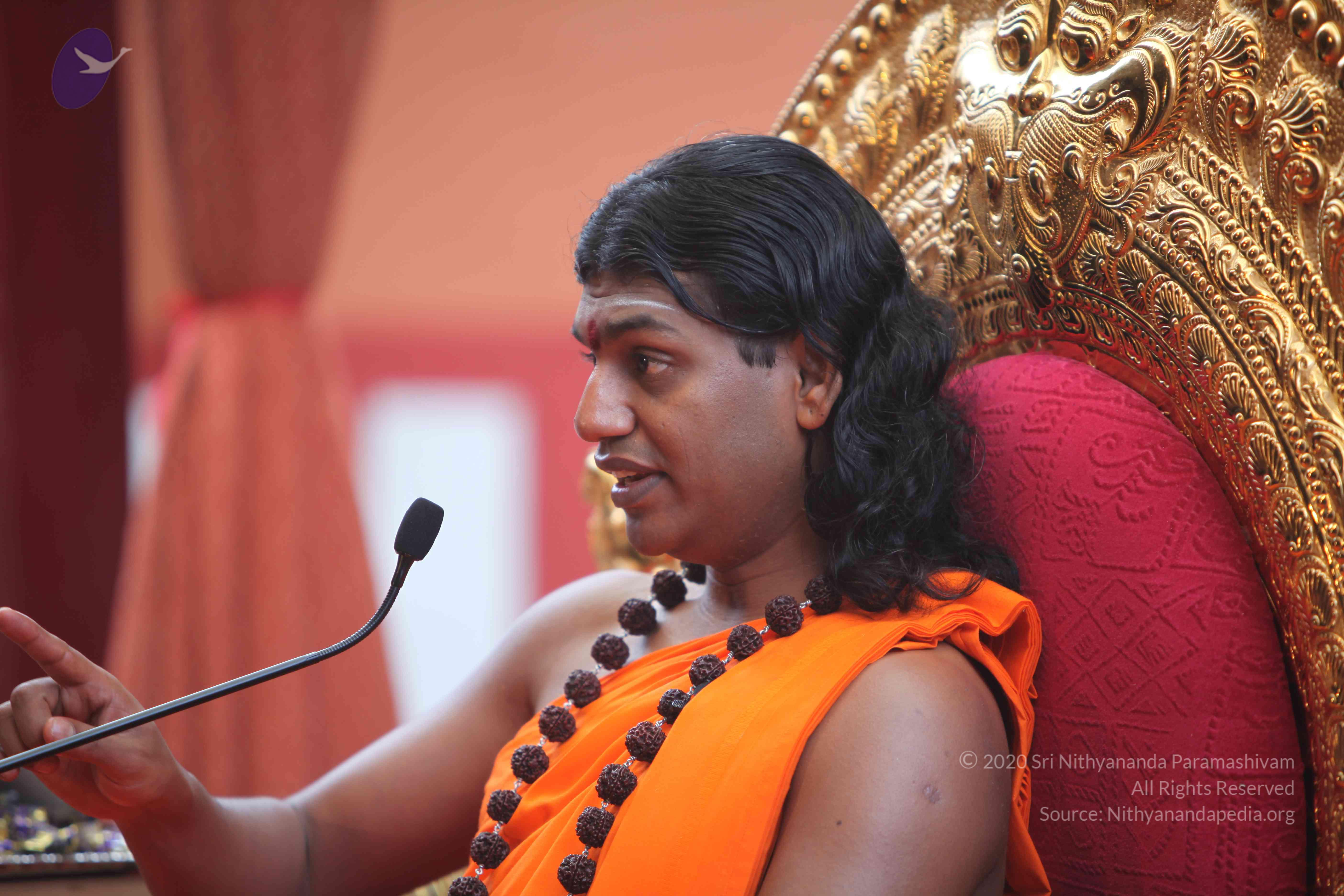 20101103_Photo_1028_IMG_9267_CMP_WM