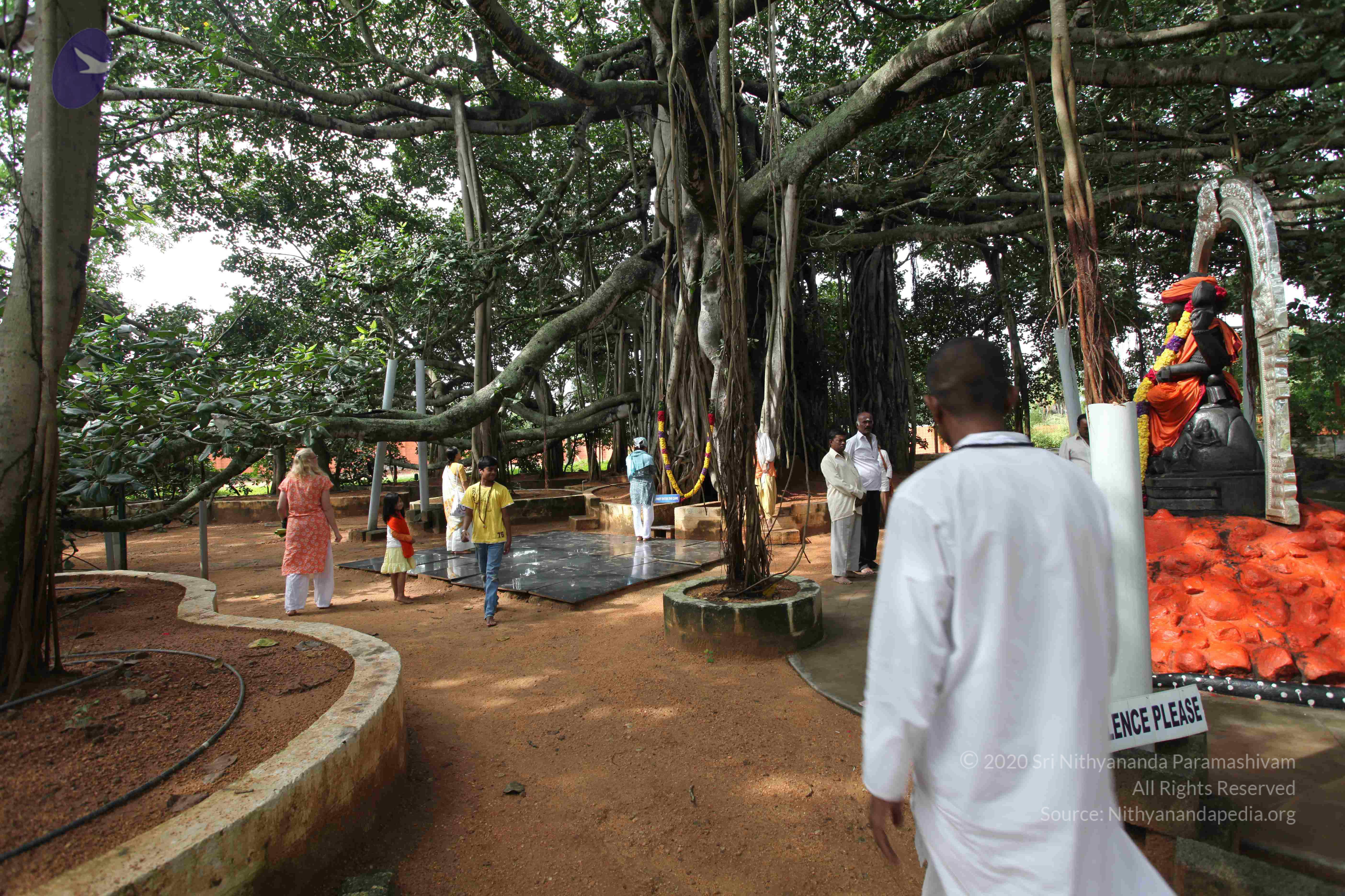 20101103_Photo_1031_IMG_9411_CMP_WM