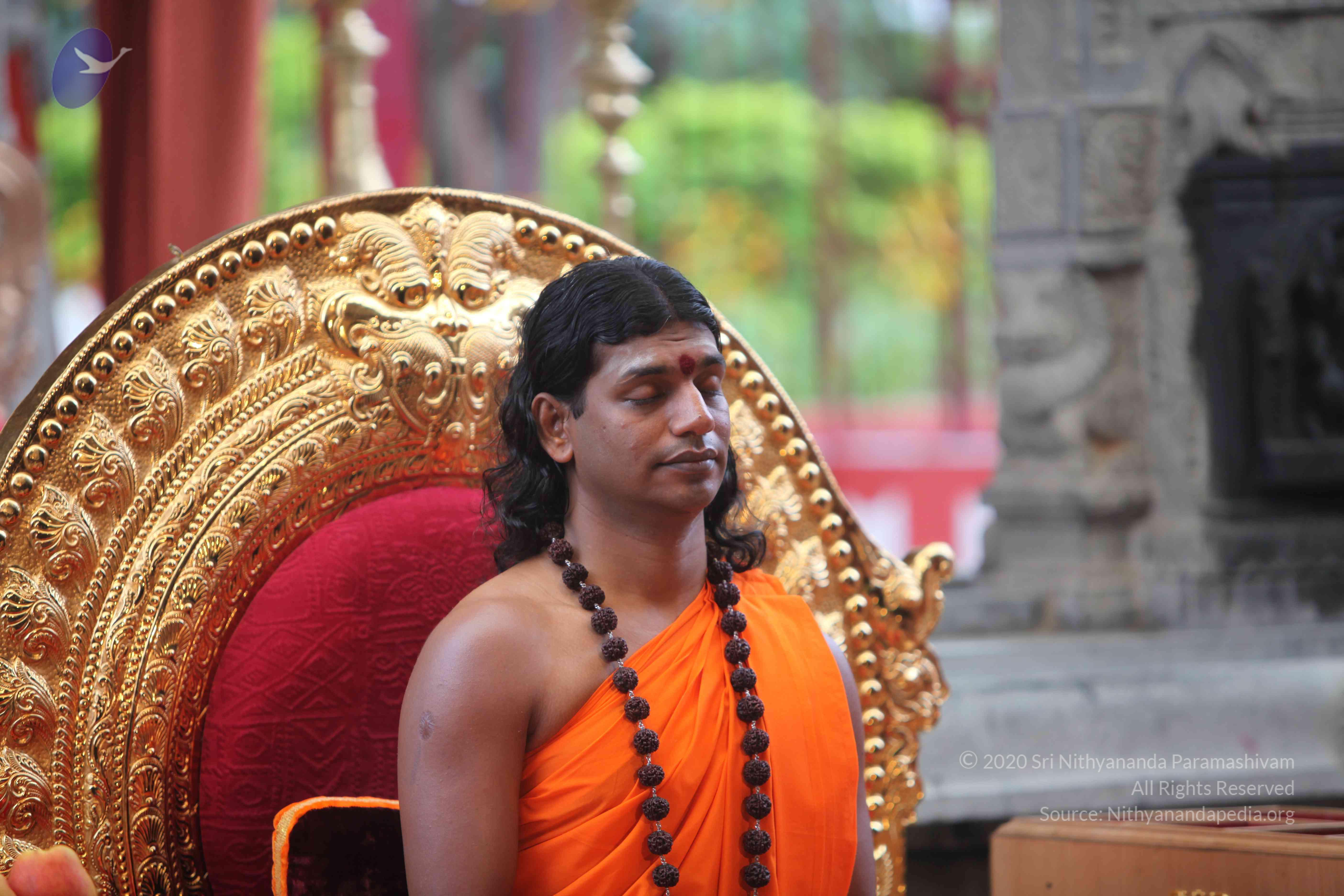 20101103_Photo_1034_IMG_9205_CMP_WM