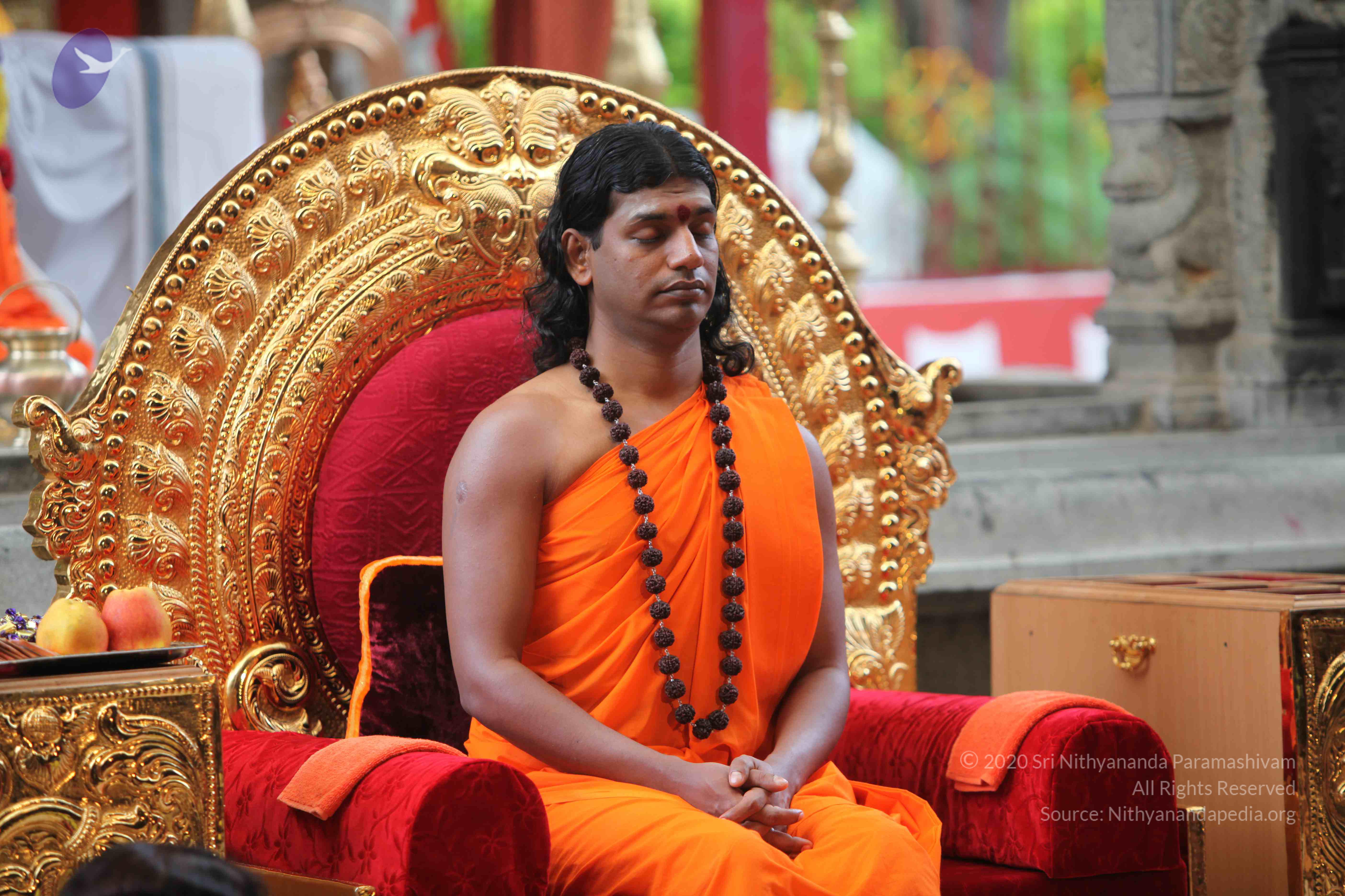 20101103_Photo_1037_IMG_9193_CMP_WM