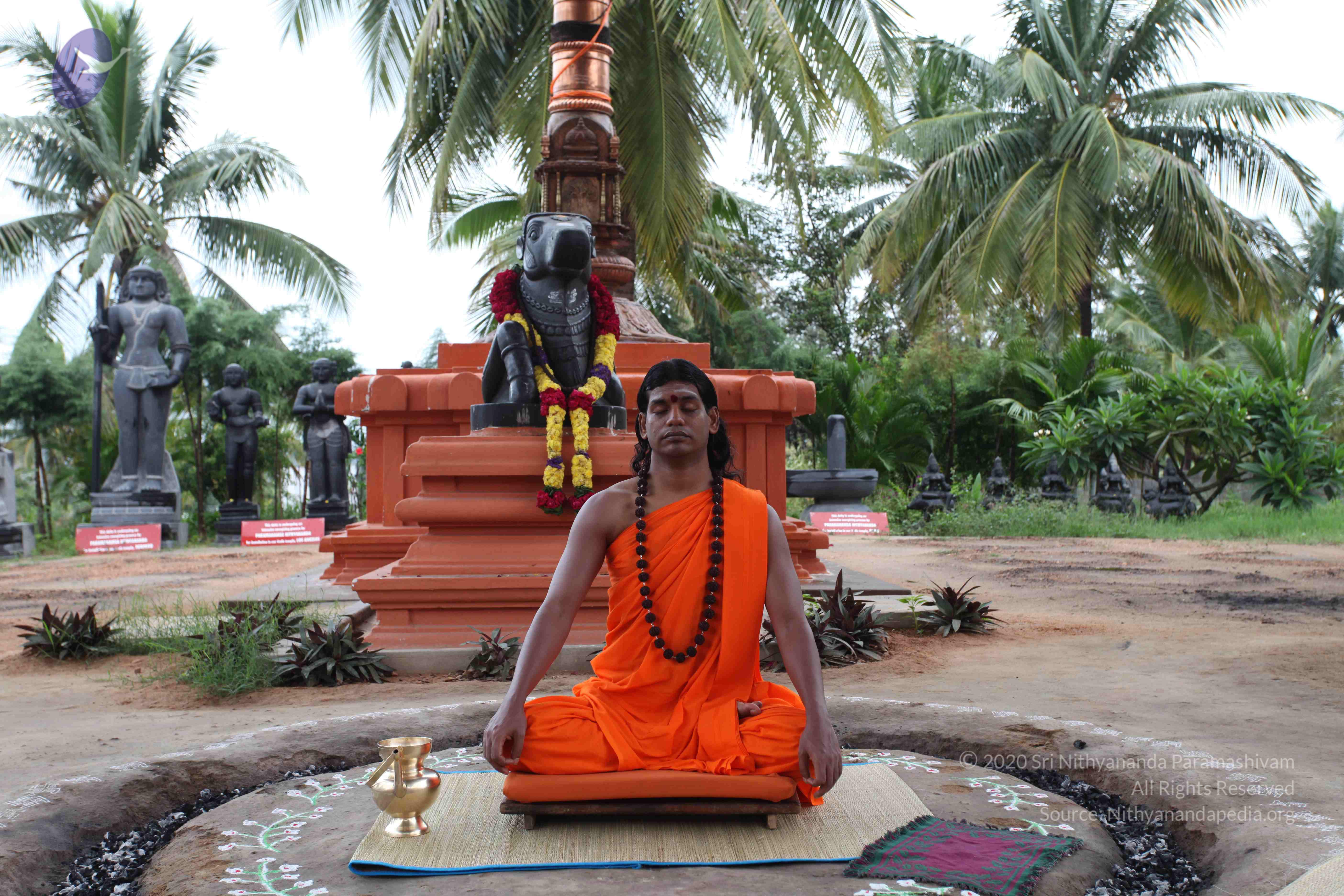 20101103_Photo_1038_IMG_9087_CMP_WM