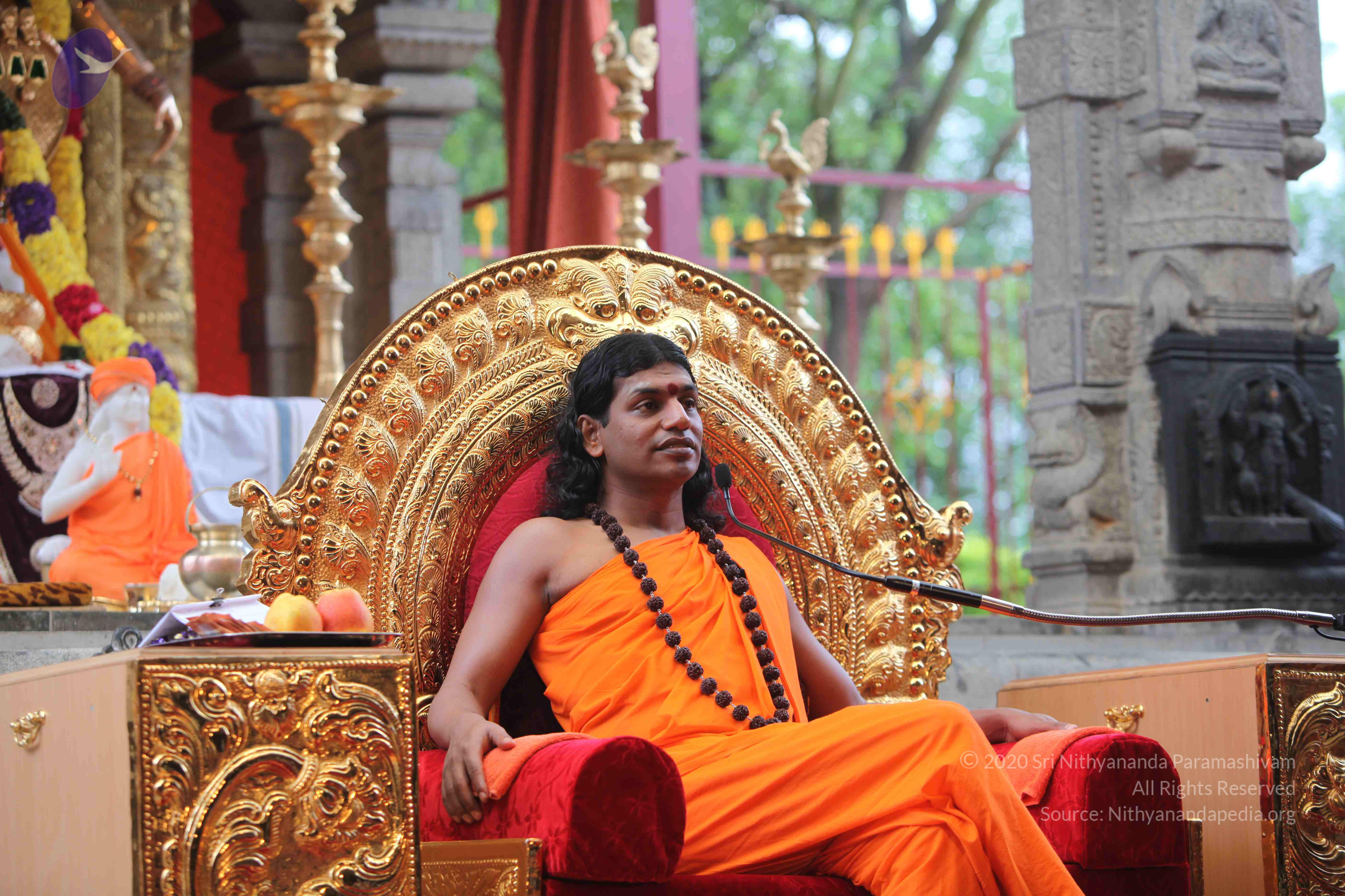 20101103_Photo_1039_IMG_9298_CMP_WM