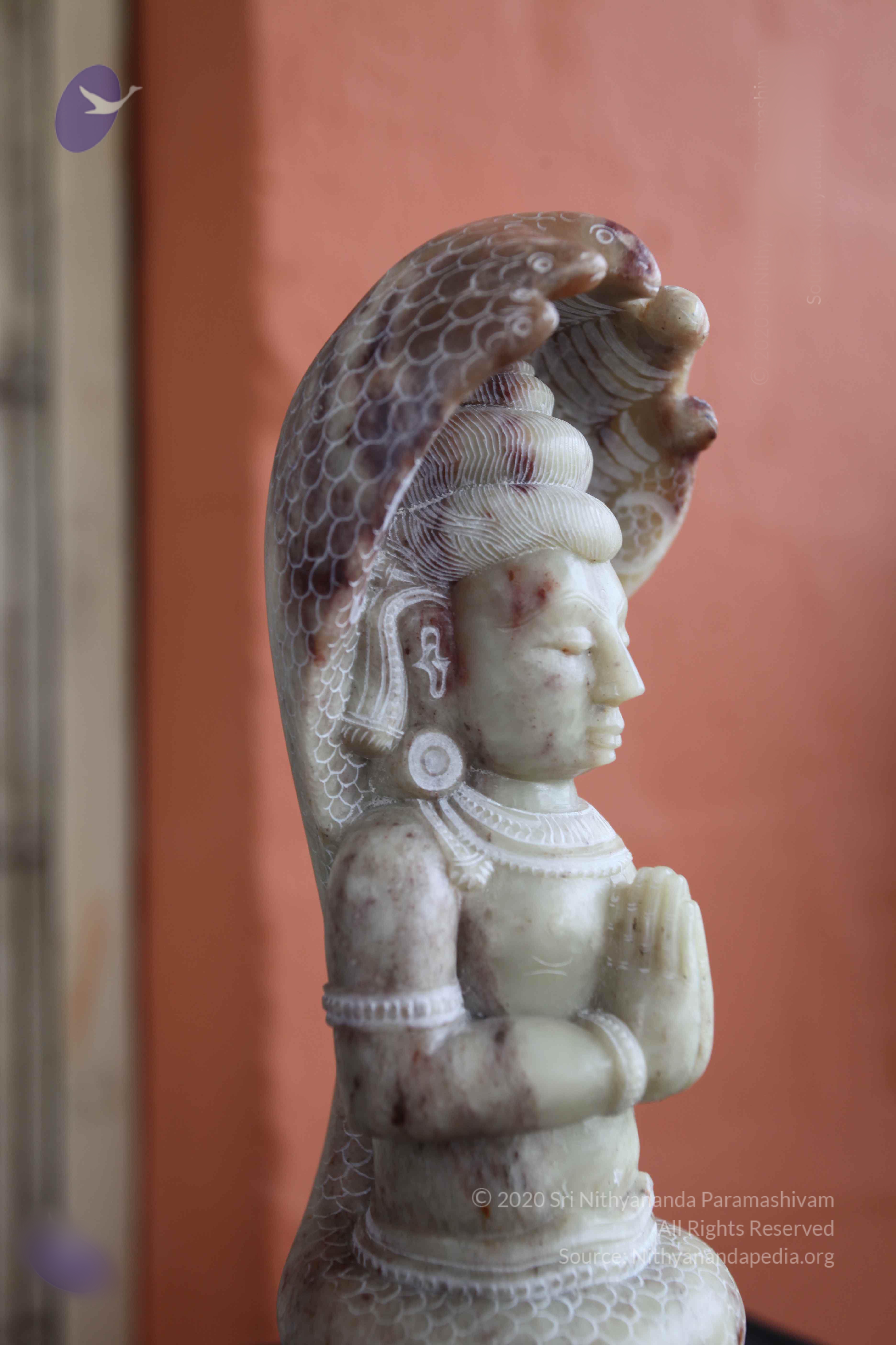 20101103_Photo_1040_IMG_9395_CMP_WM