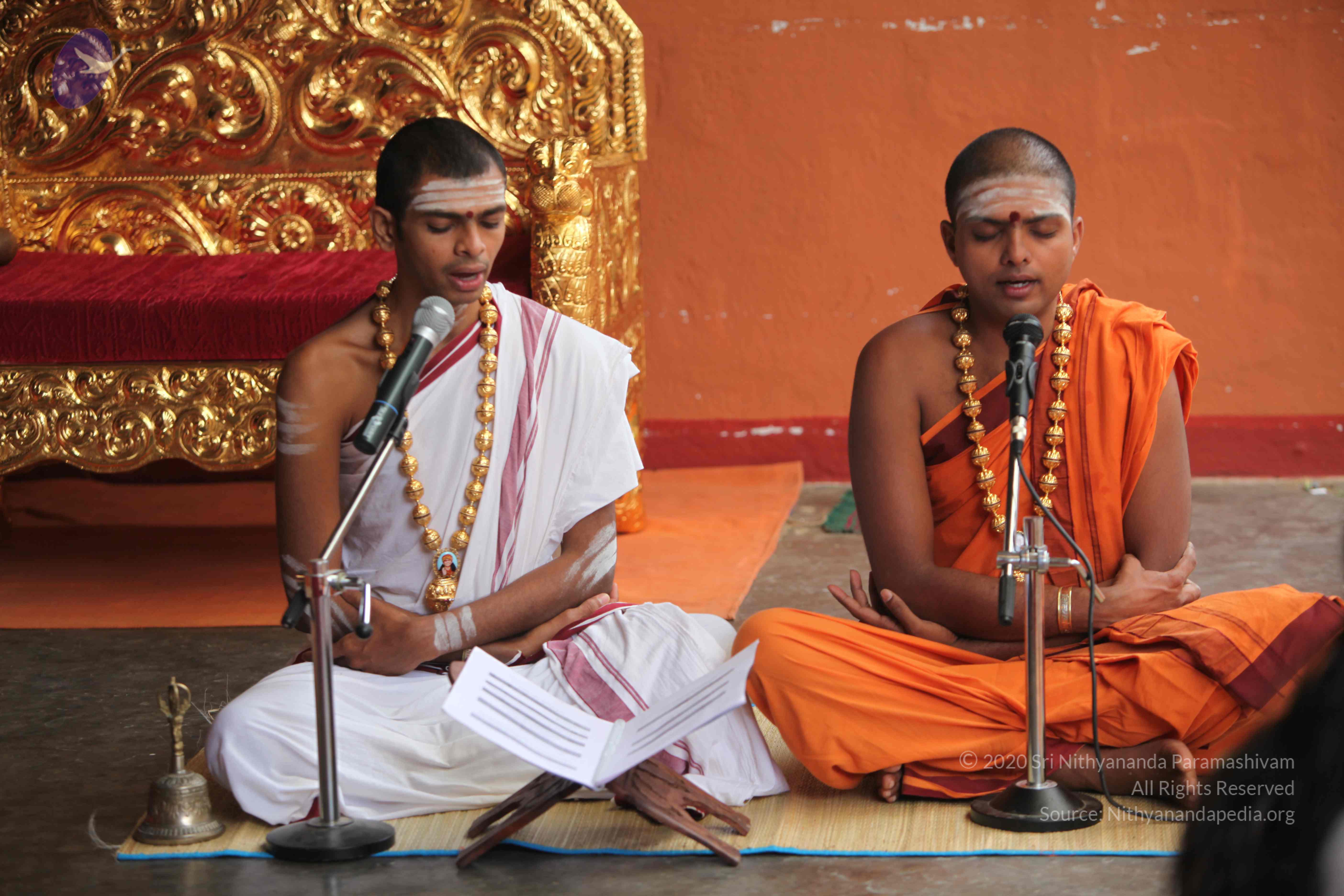 20101103_Photo_1045_IMG_9175_CMP_WM