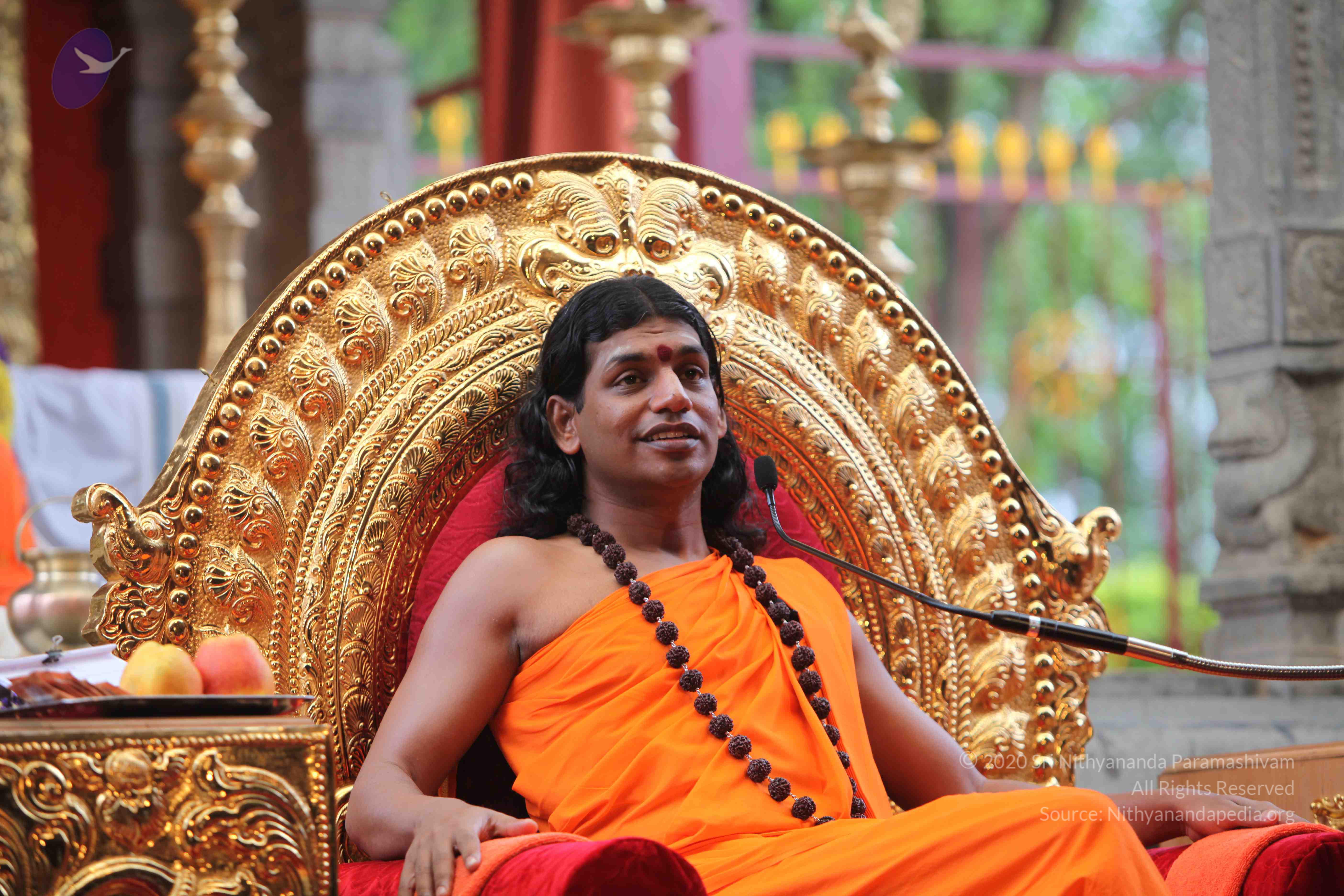 20101103_Photo_1046_IMG_9308_CMP_WM