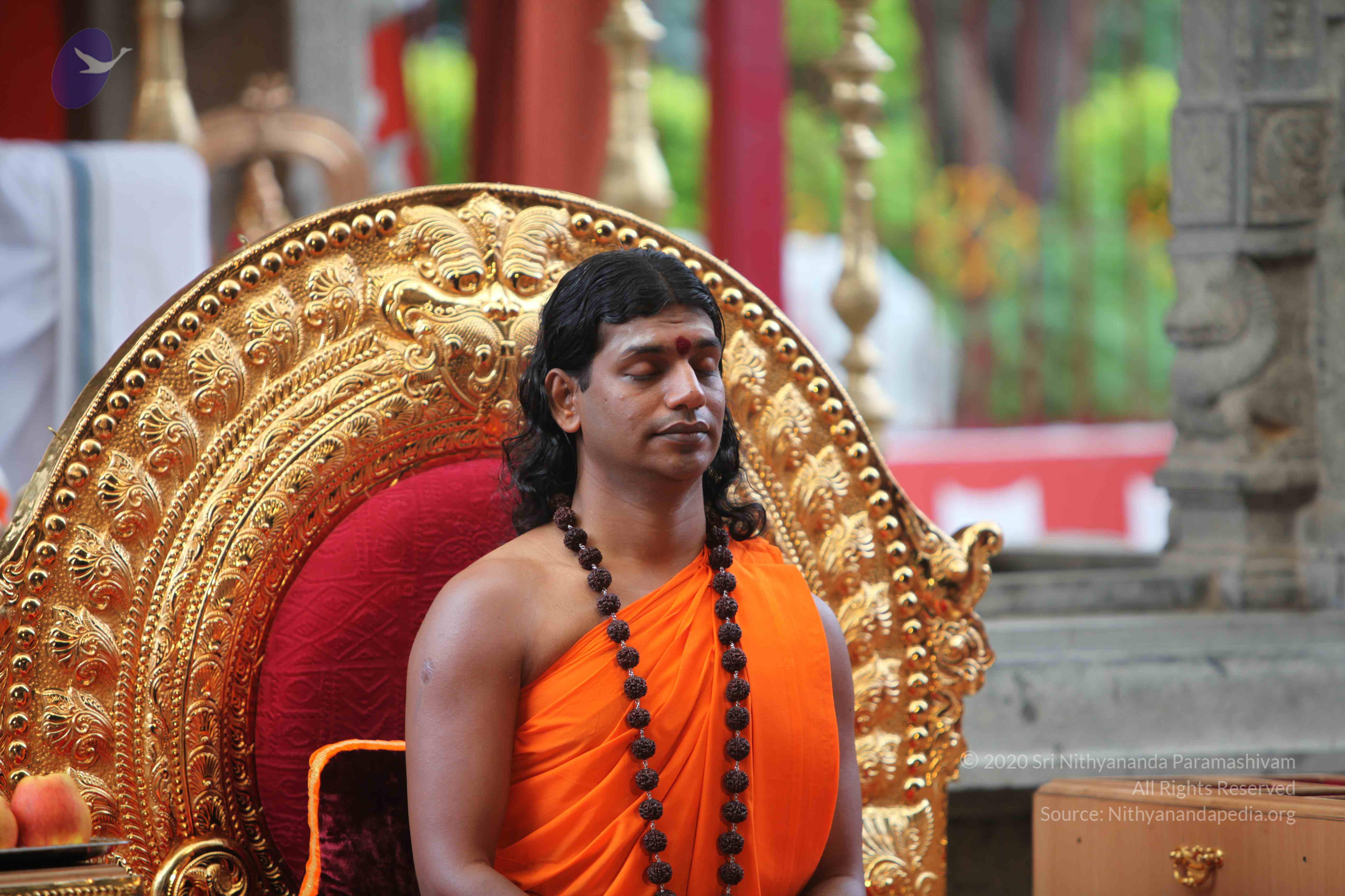 20101103_Photo_1048_IMG_9196_CMP_WM