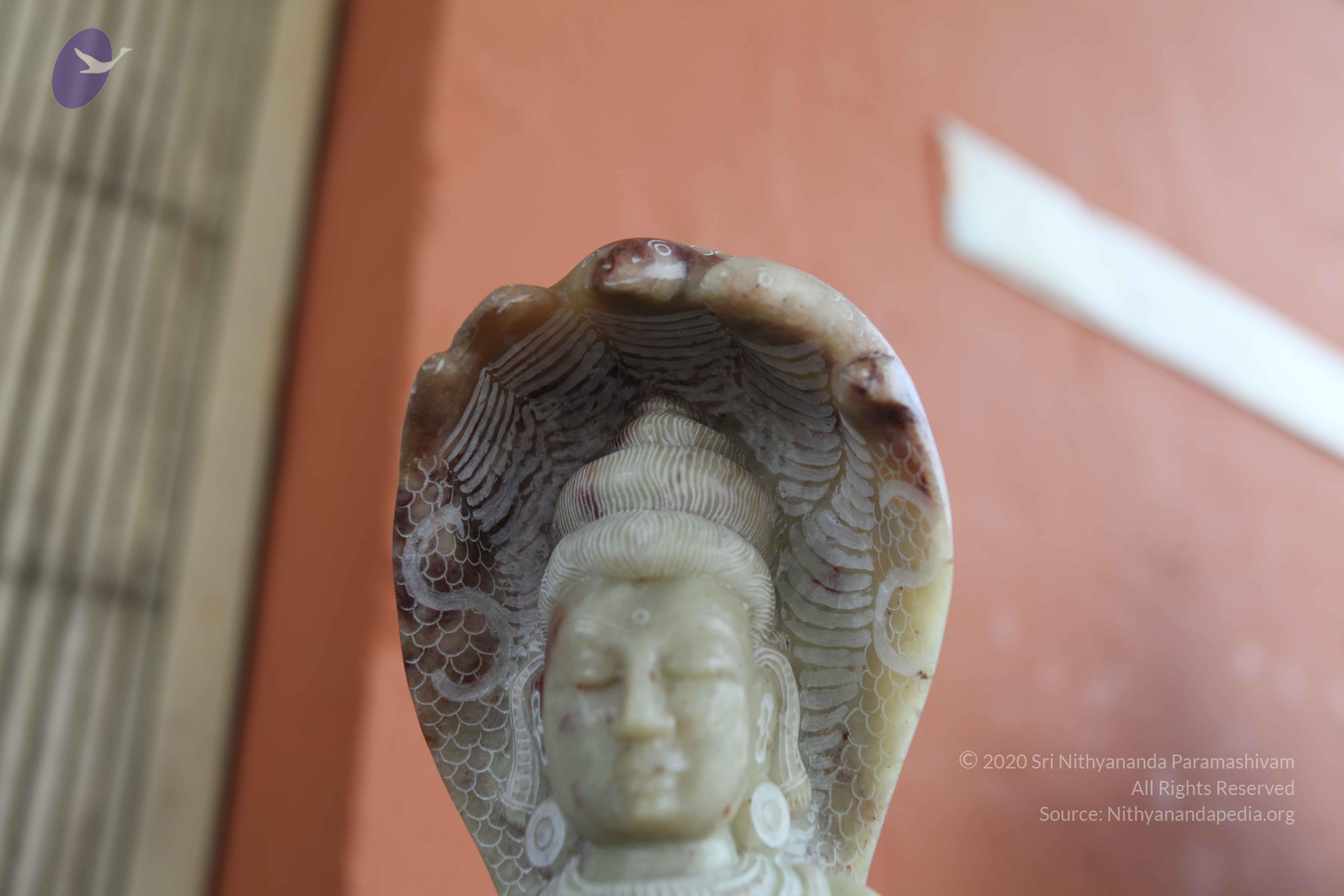 20101103_Photo_1049_IMG_9389_CMP_WM