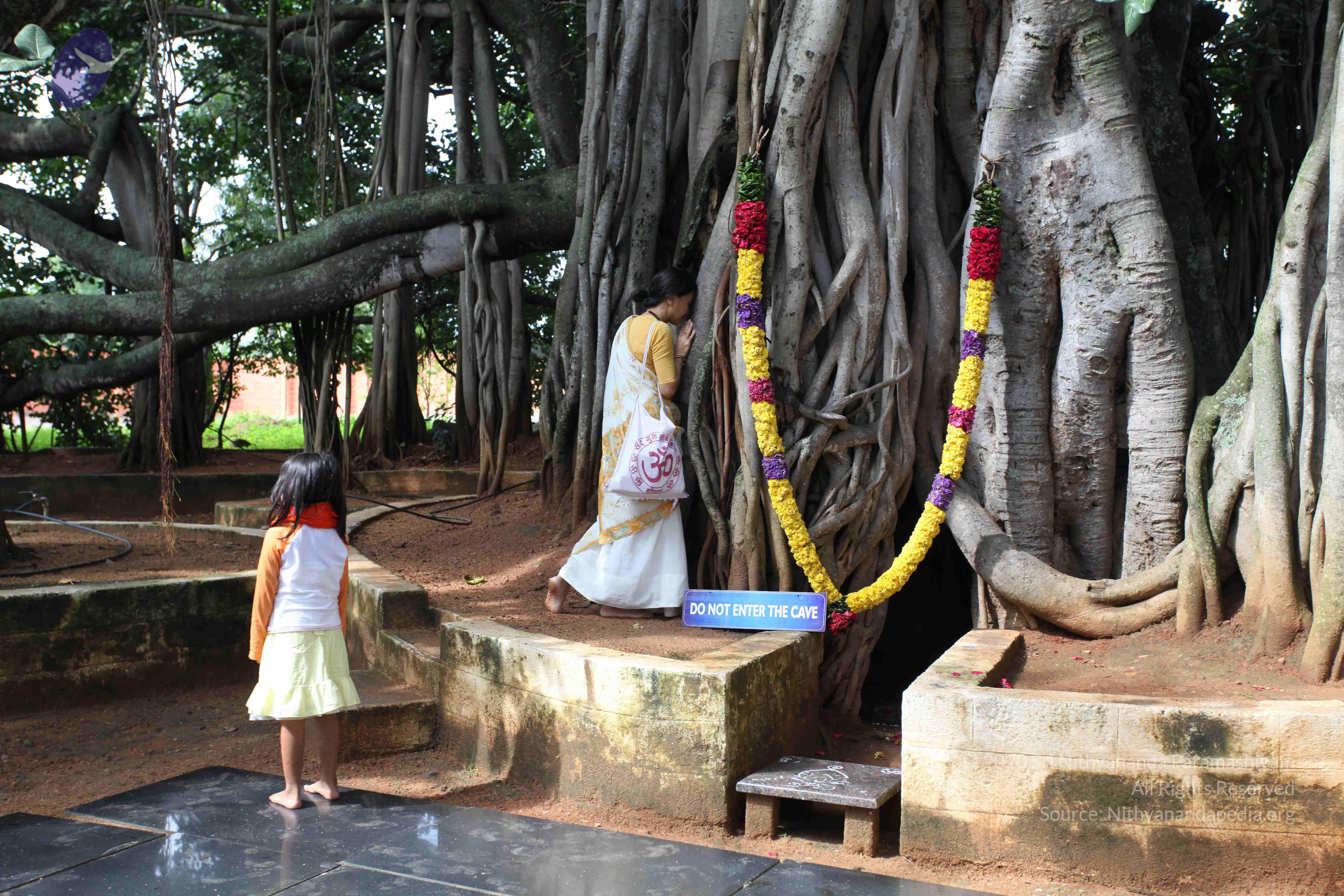 20101103_Photo_1051_IMG_9414_CMP_WM