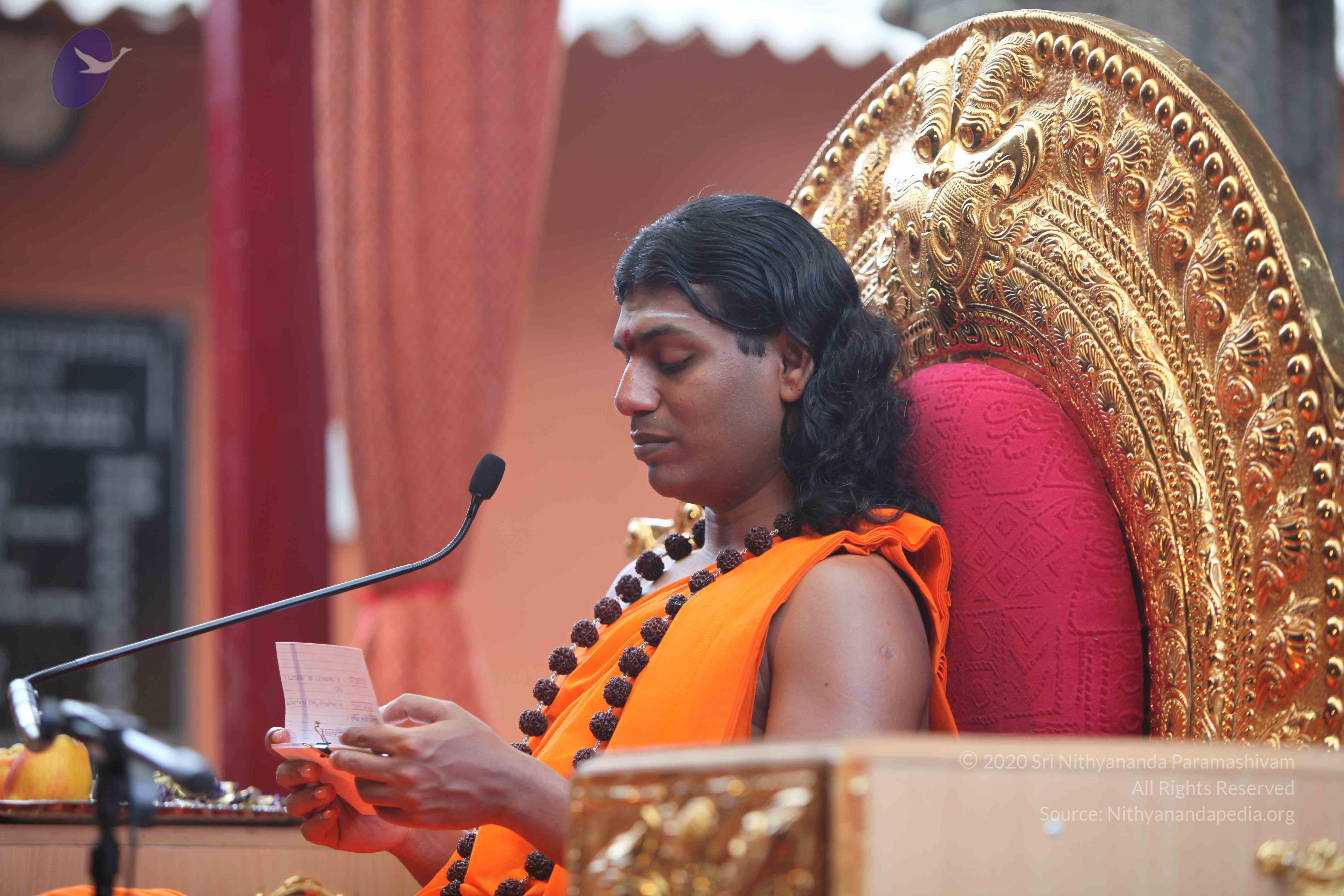 20101103_Photo_1052_IMG_9255_CMP_WM