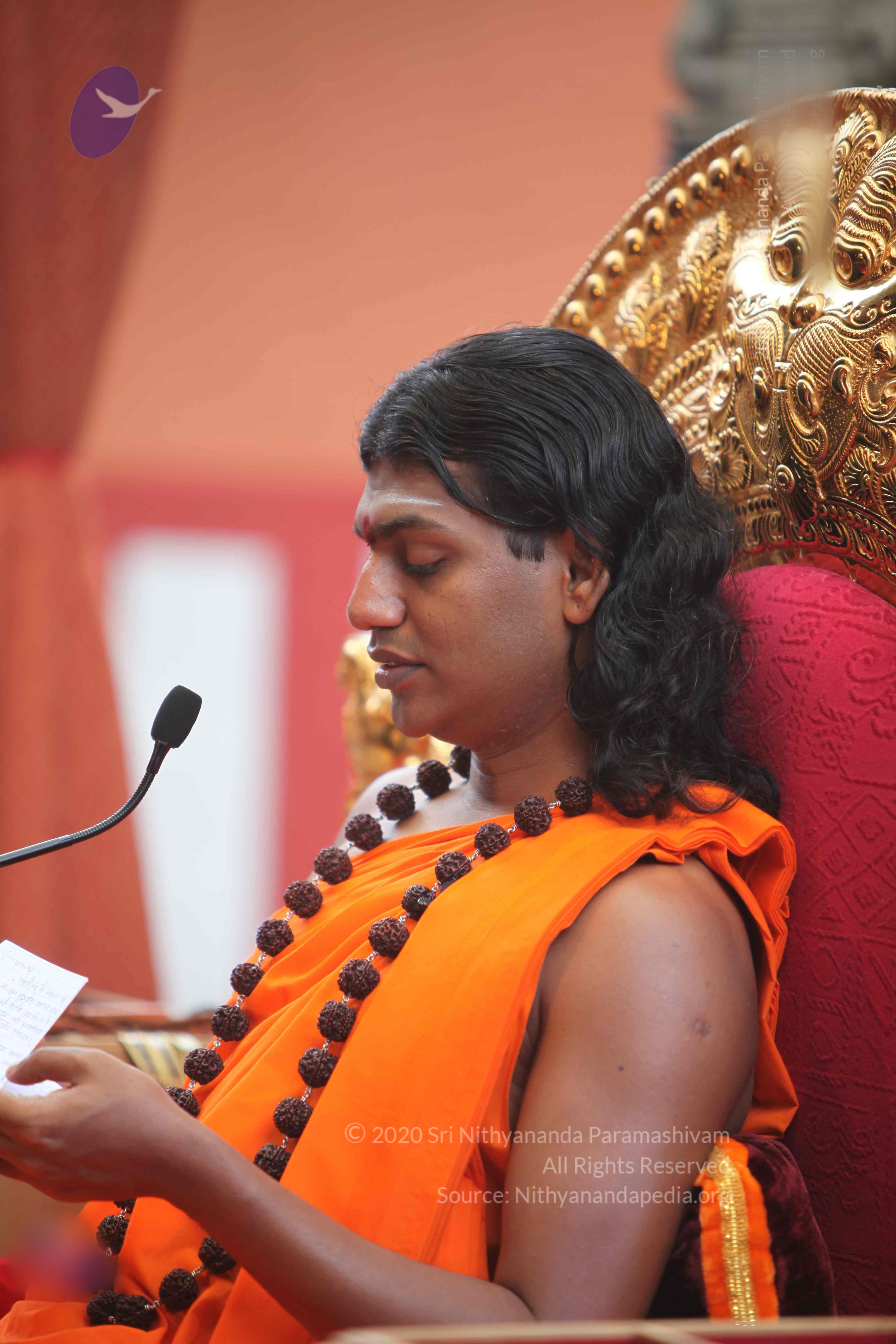 20101103_Photo_1053_IMG_9262_CMP_WM