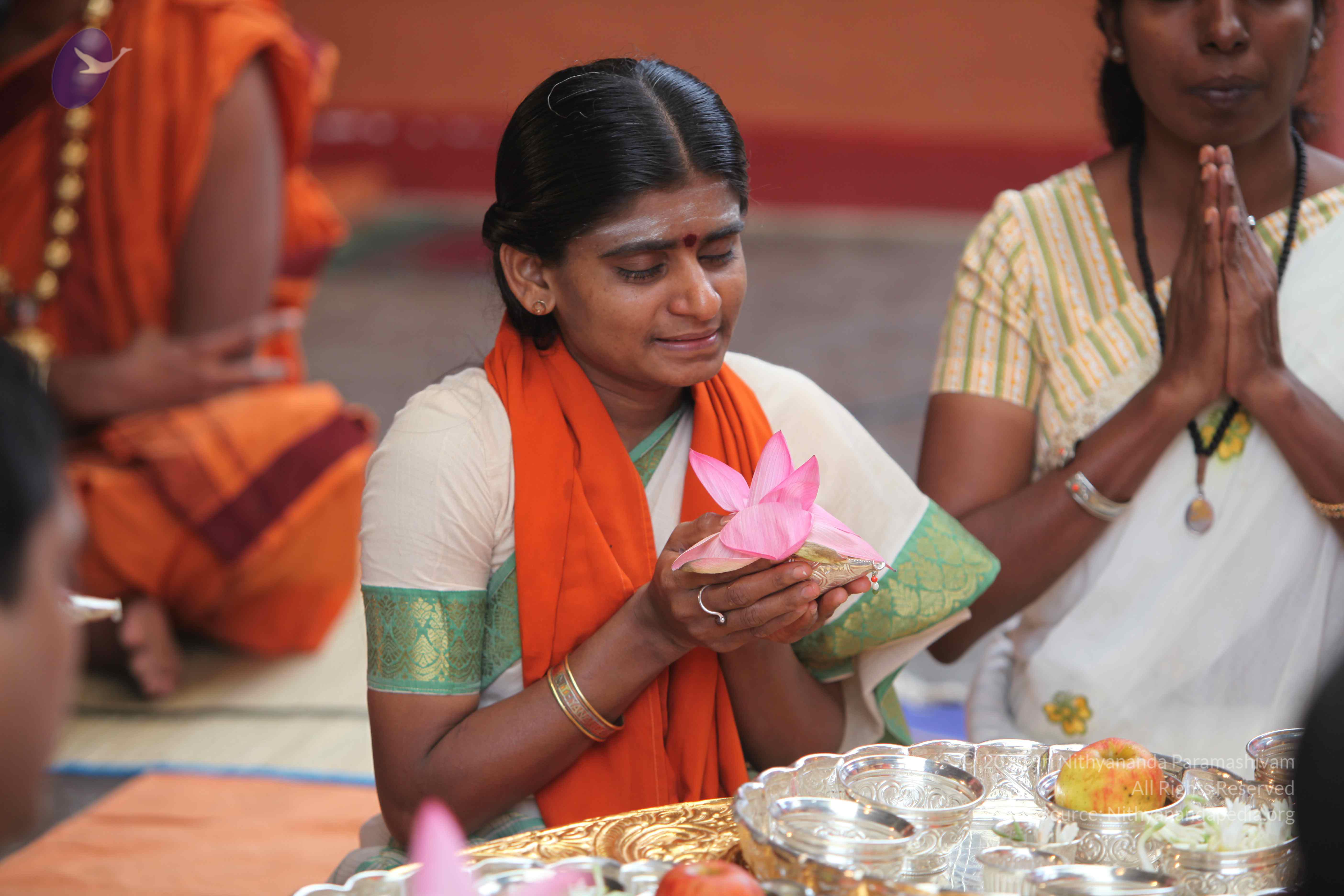 20101103_Photo_1055_IMG_9169_CMP_WM