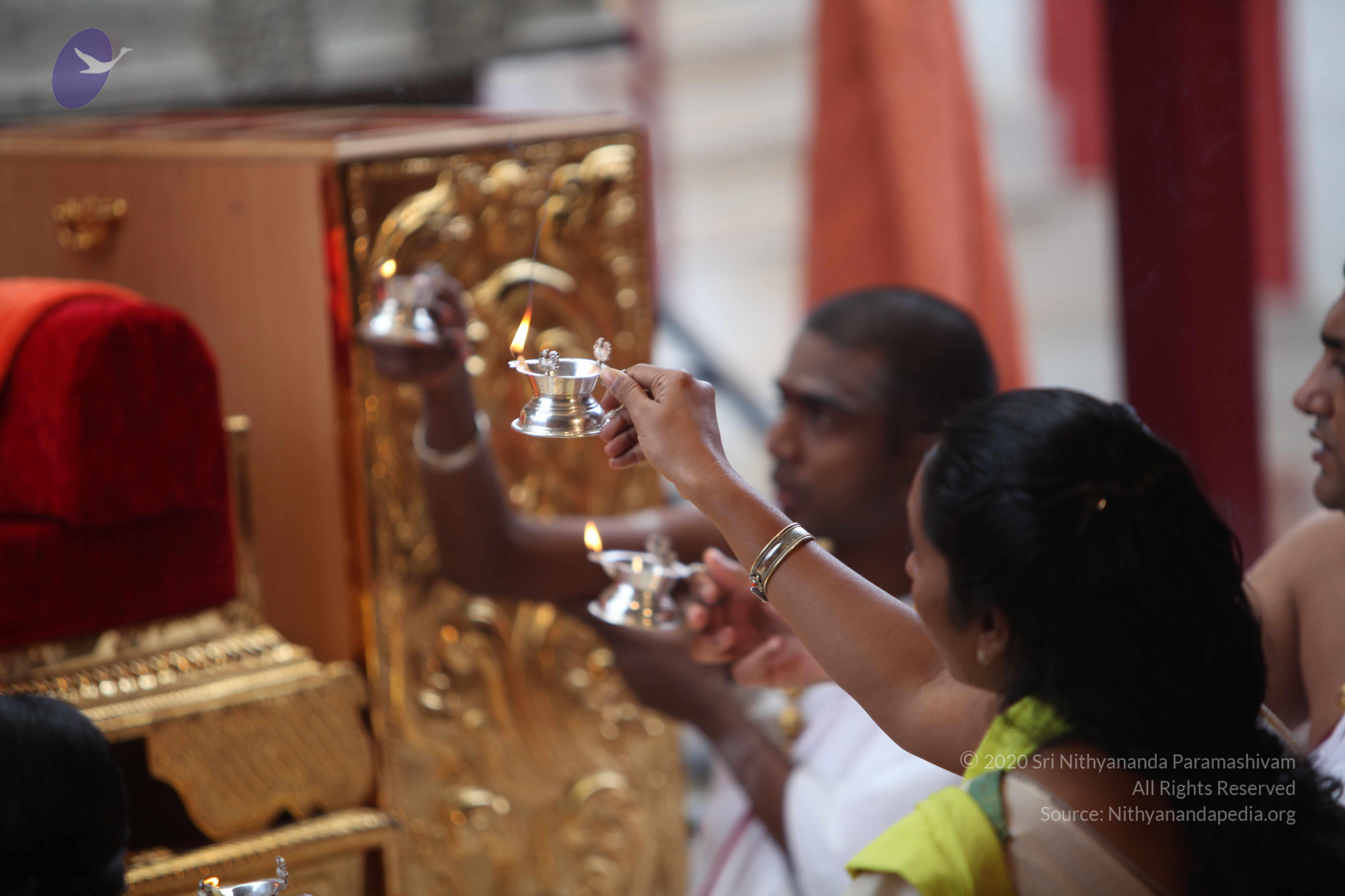 20101103_Photo_1059_IMG_9211_CMP_WM