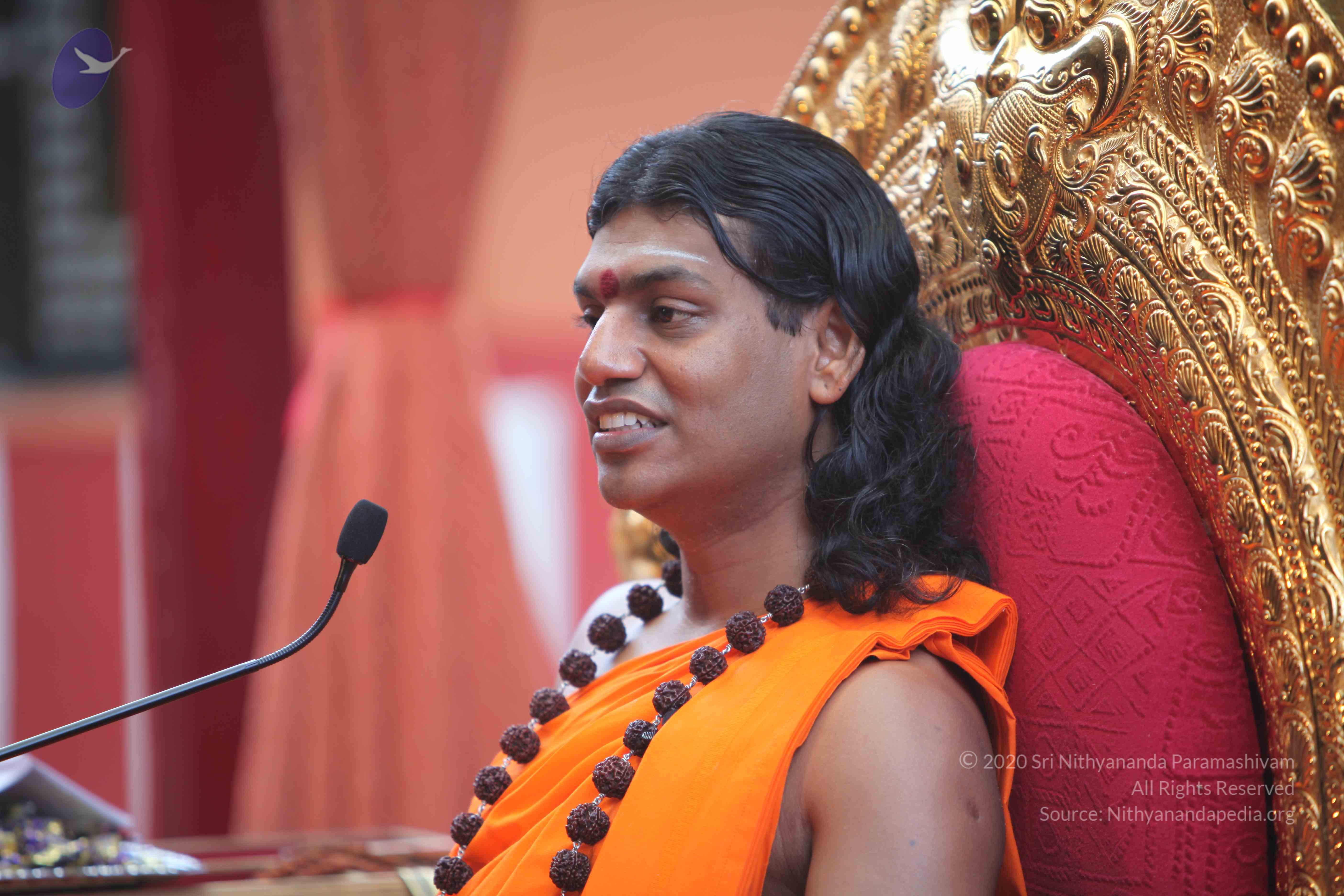 20101103_Photo_1063_IMG_9273_CMP_WM