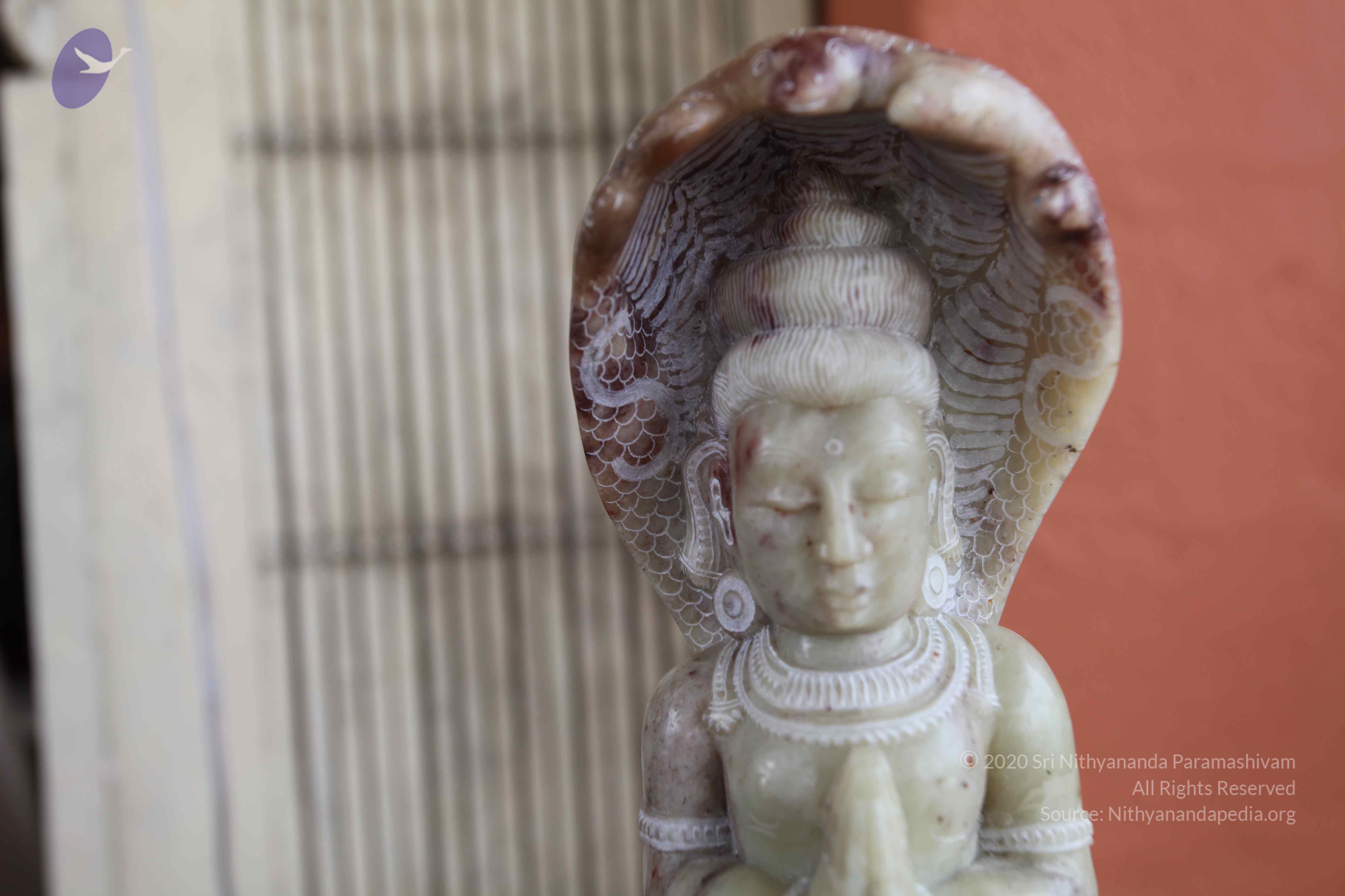 20101103_Photo_1065_IMG_9405_CMP_WM