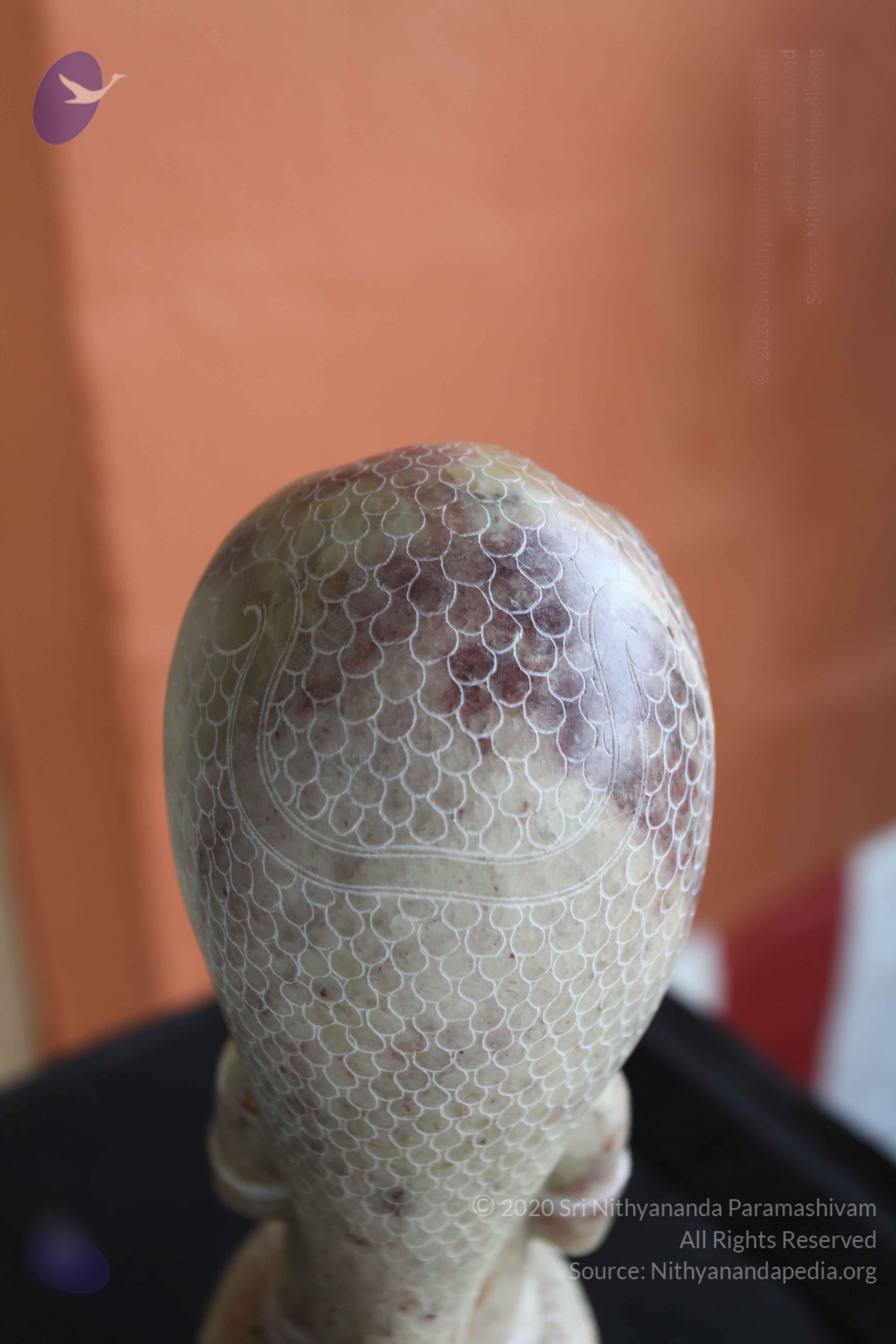 20101103_Photo_1067_IMG_9398_CMP_WM