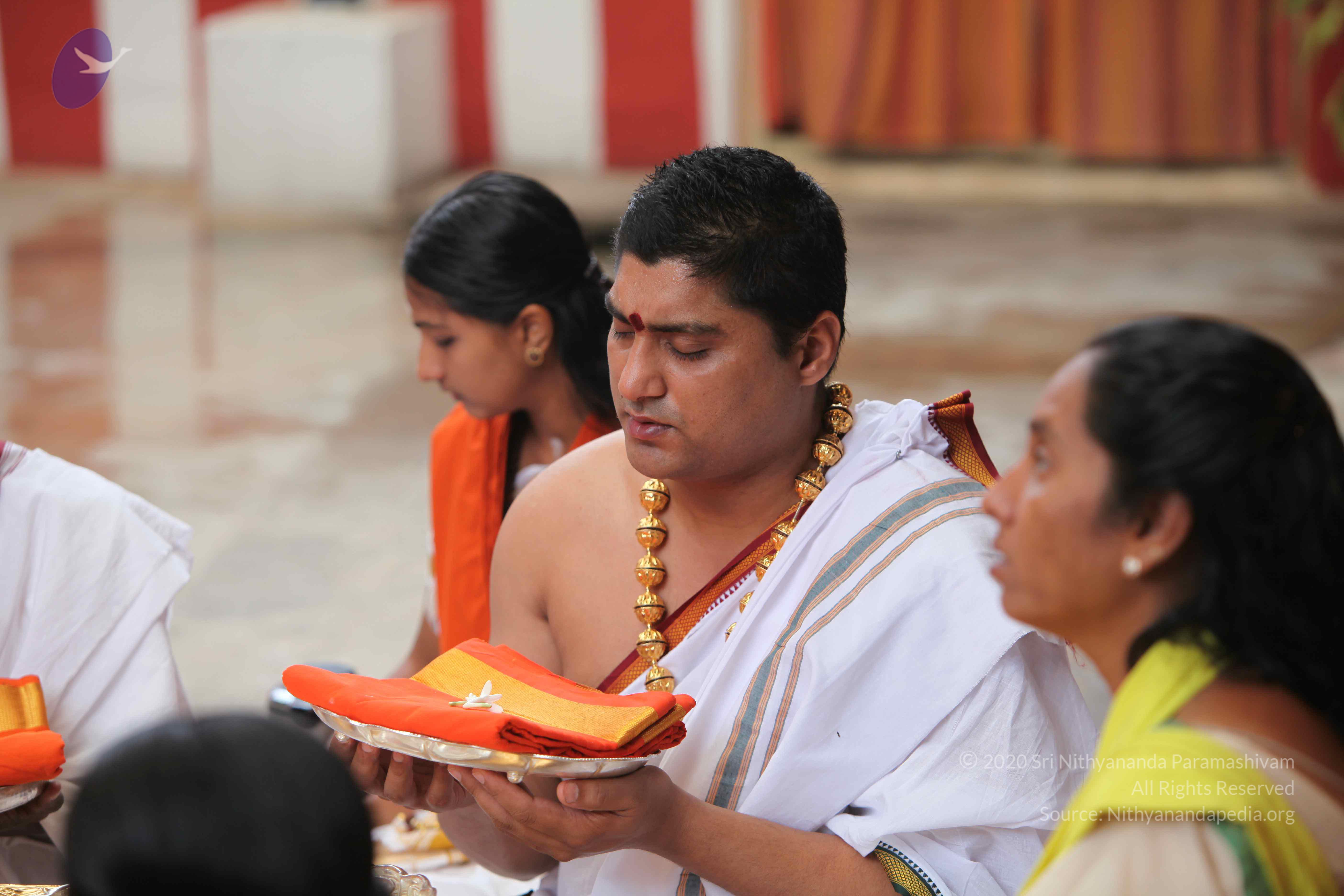 20101103_Photo_1068_IMG_9187_CMP_WM