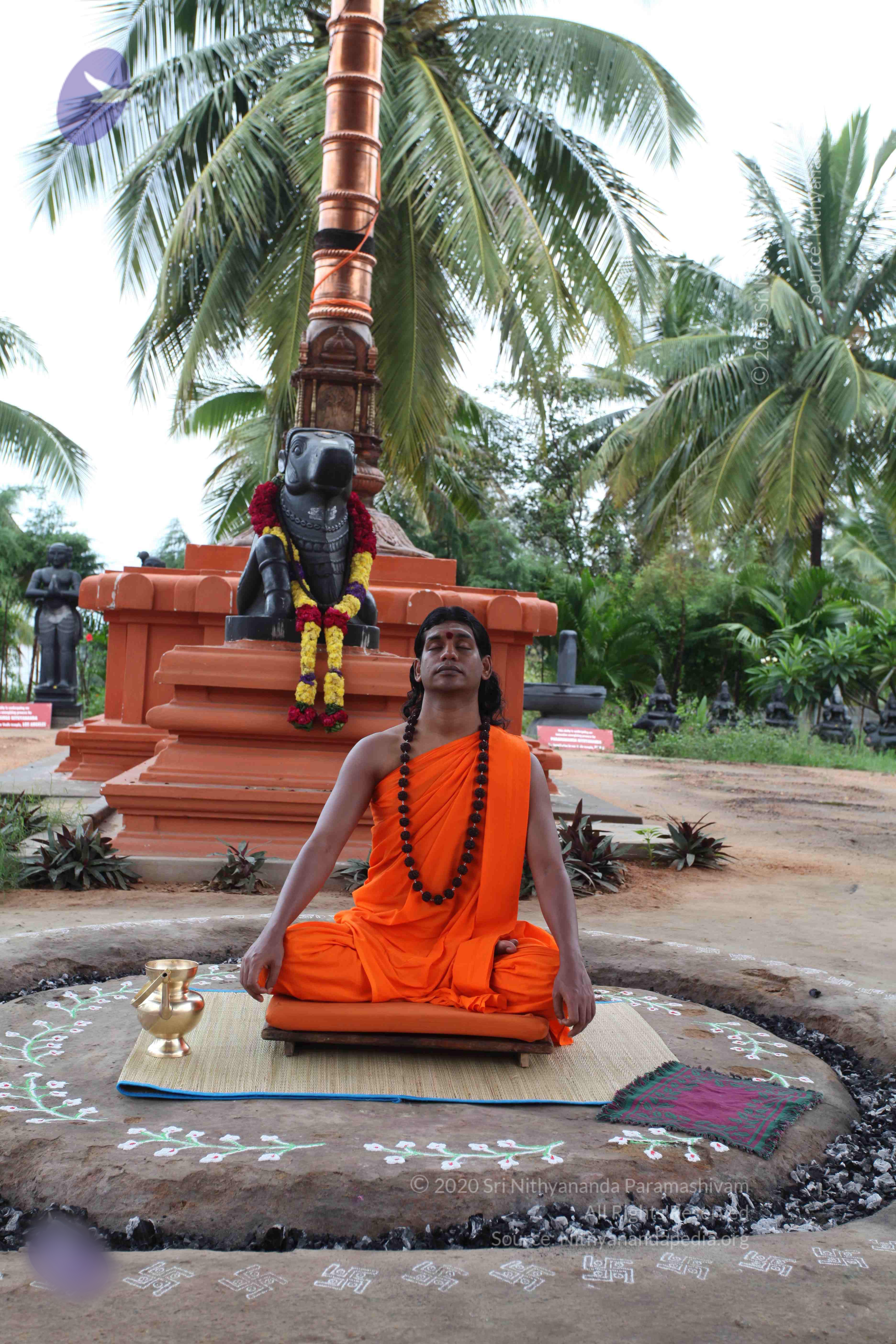 20101103_Photo_1069_IMG_9093_CMP_WM