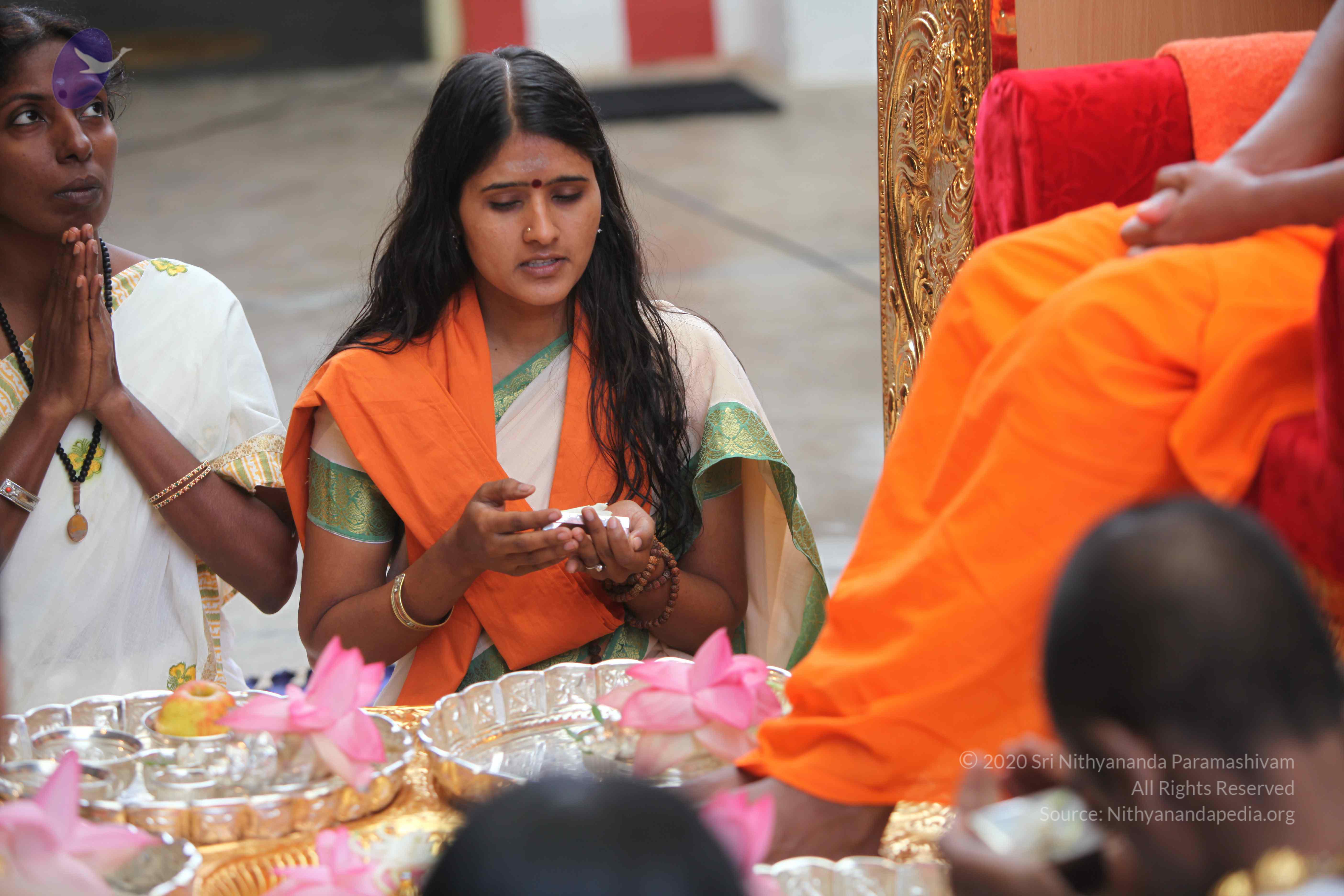 20101103_Photo_1070_IMG_9153_CMP_WM