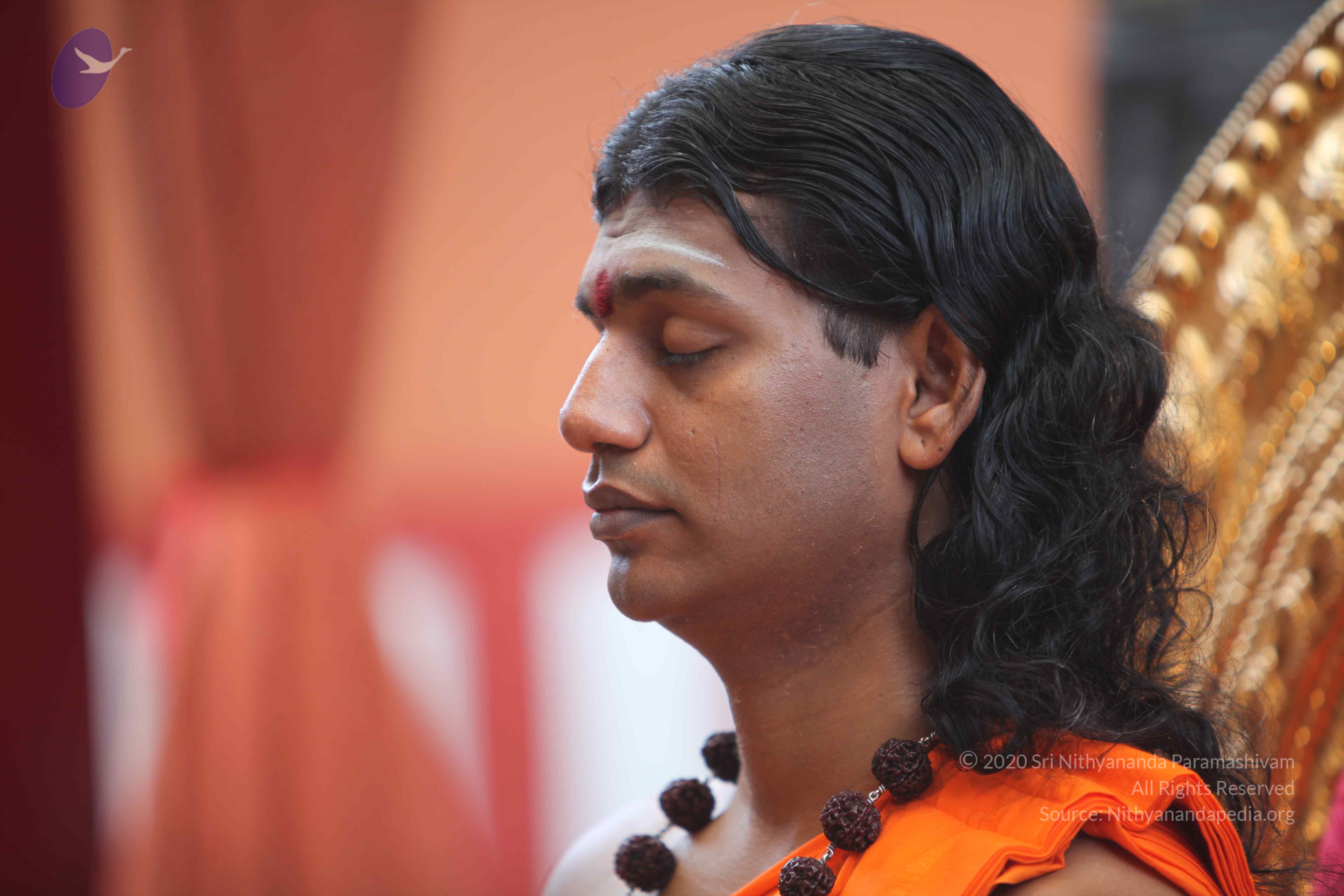 20101103_Photo_1071_IMG_9164_CMP_WM