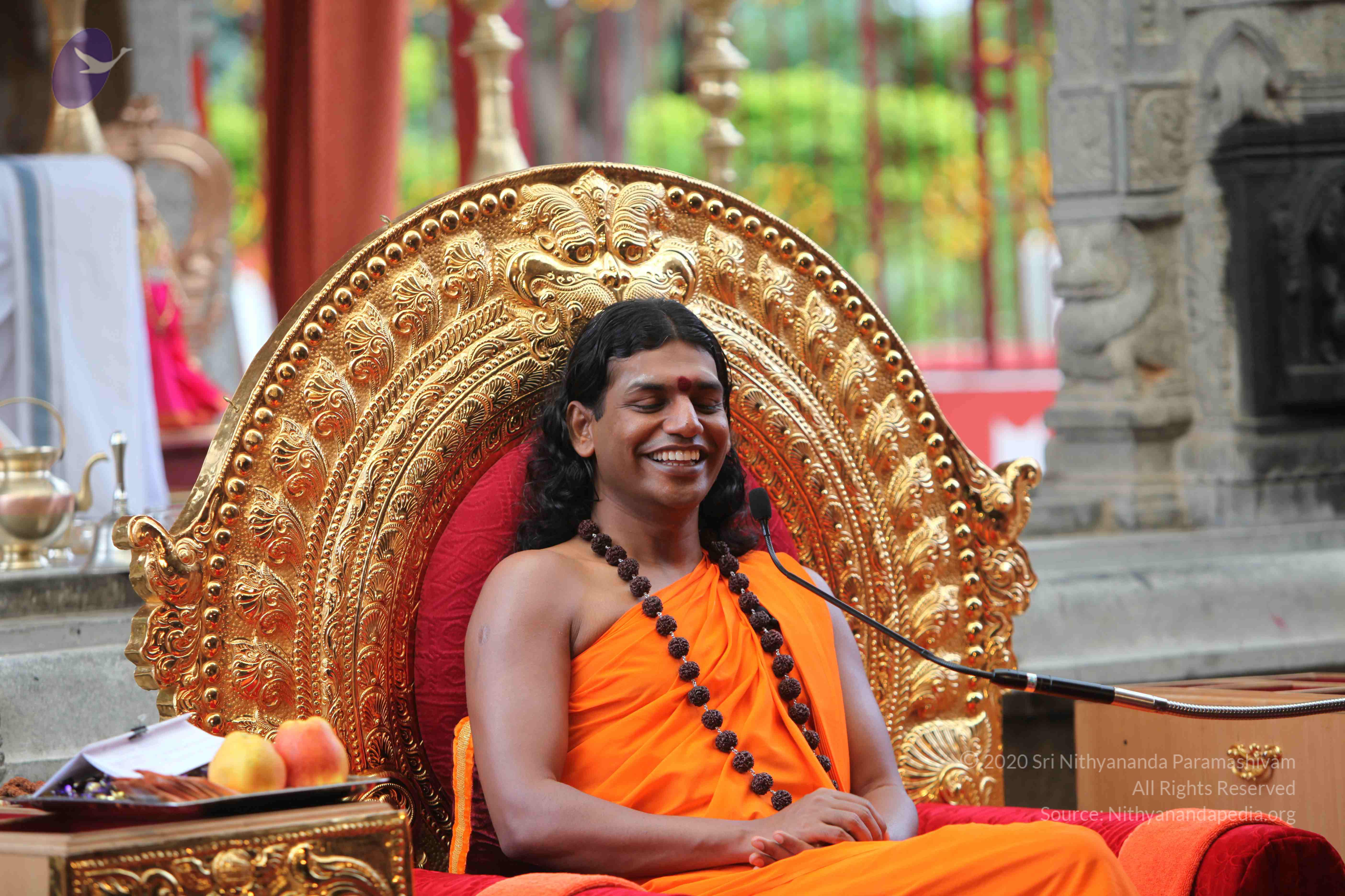 20101103_Photo_1072_IMG_9319_CMP_WM