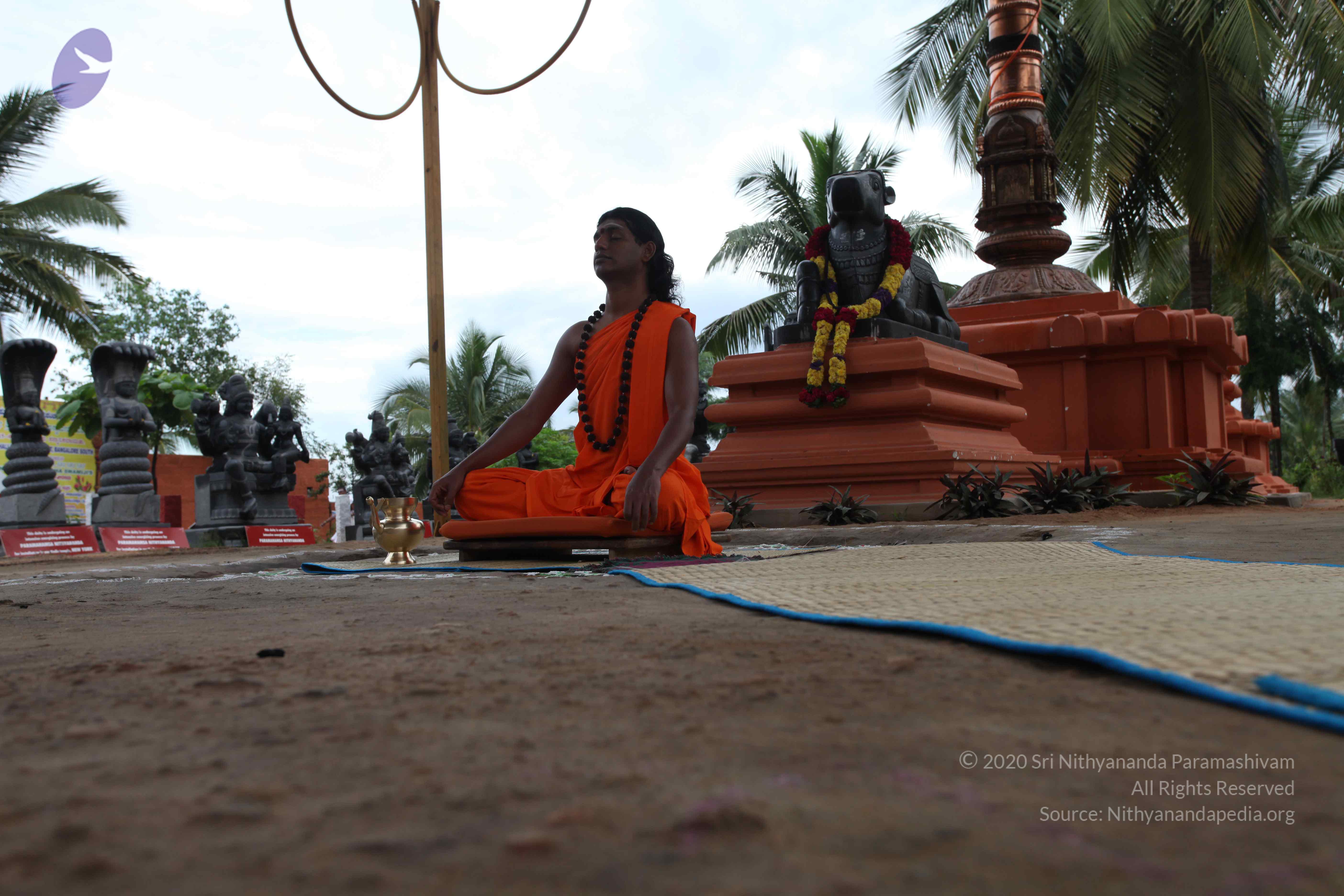 20101103_Photo_1075_IMG_9106_CMP_WM