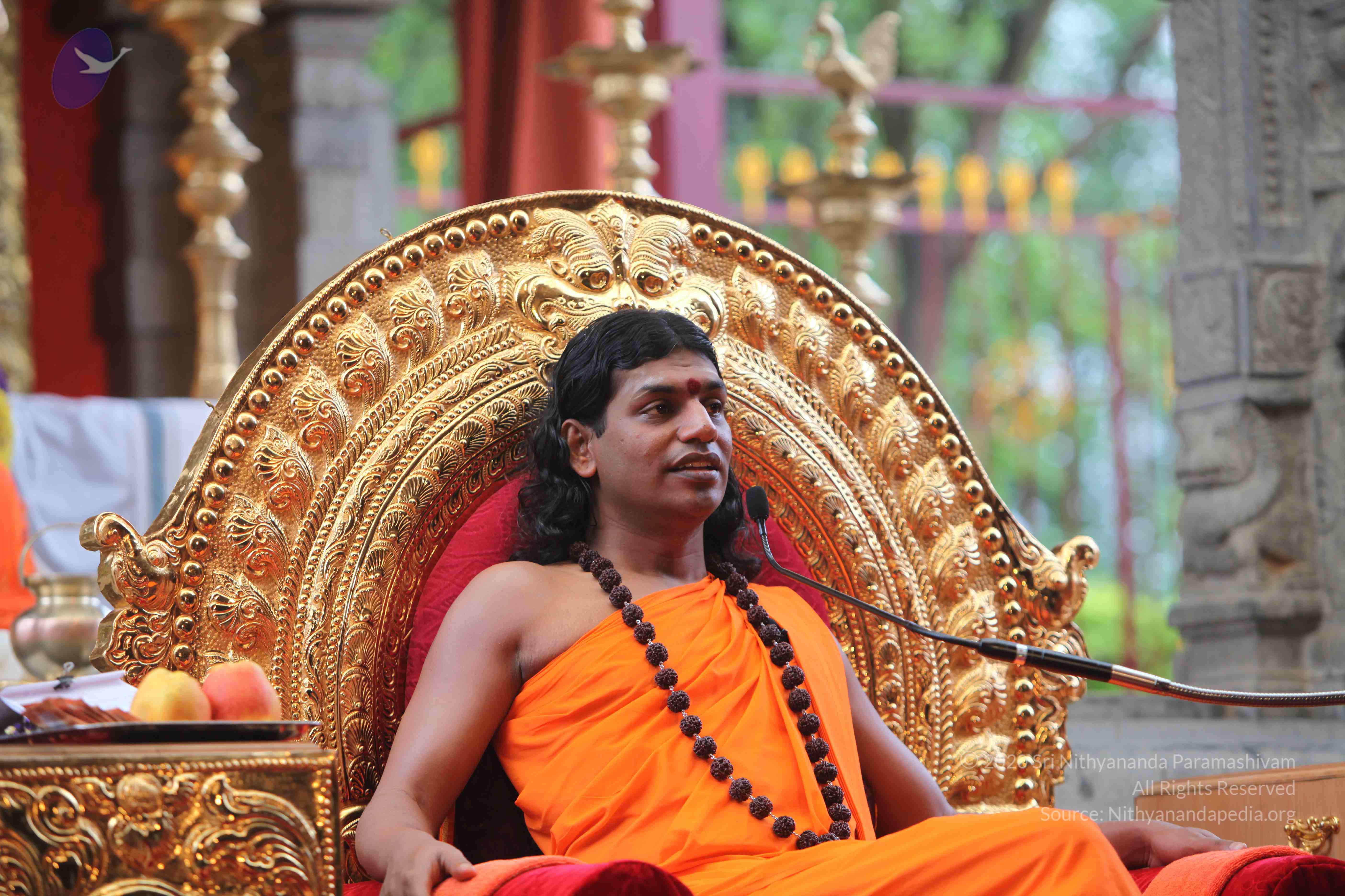 20101103_Photo_1079_IMG_9297_CMP_WM