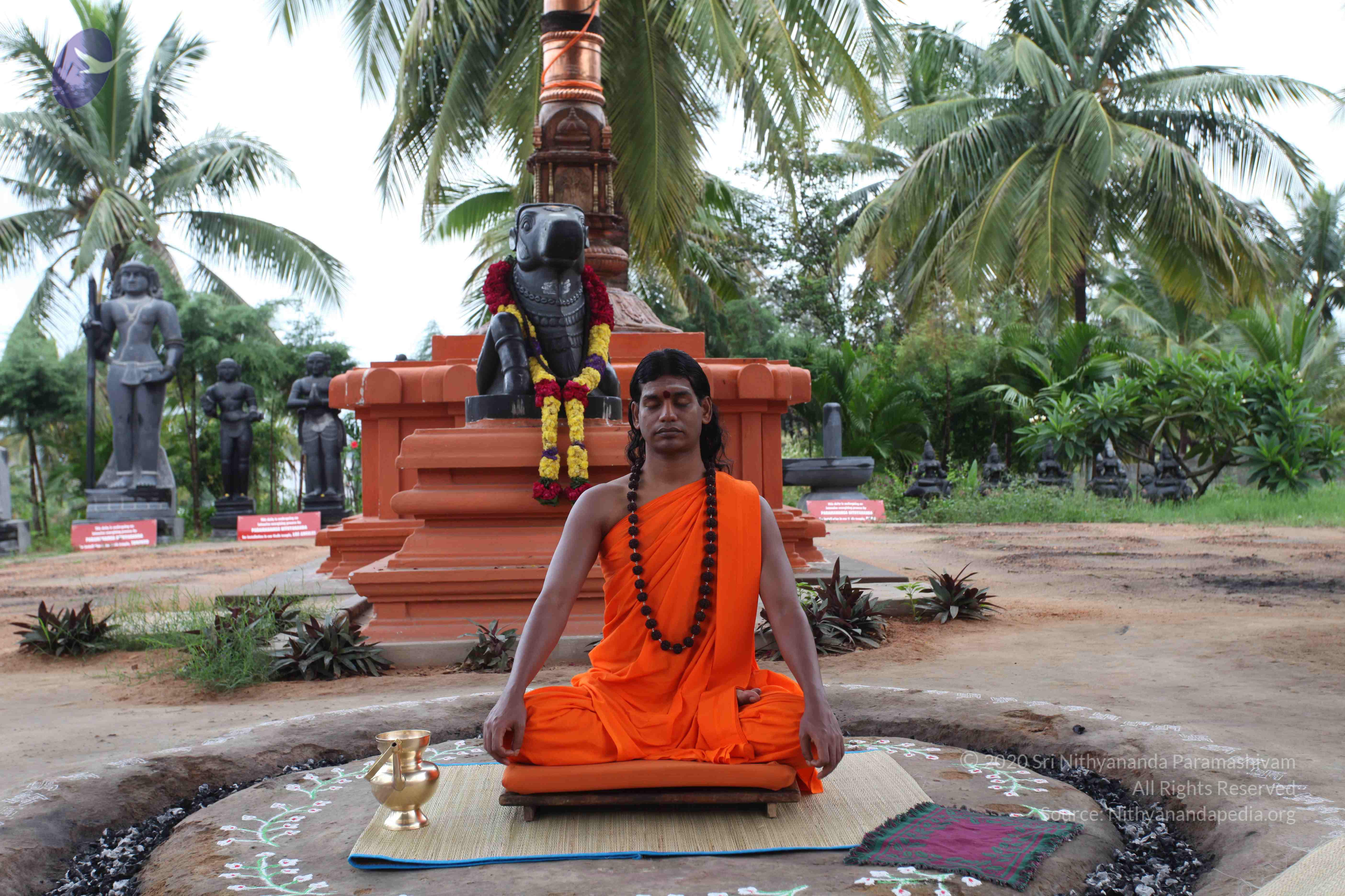 20101103_Photo_1080_IMG_9088_CMP_WM