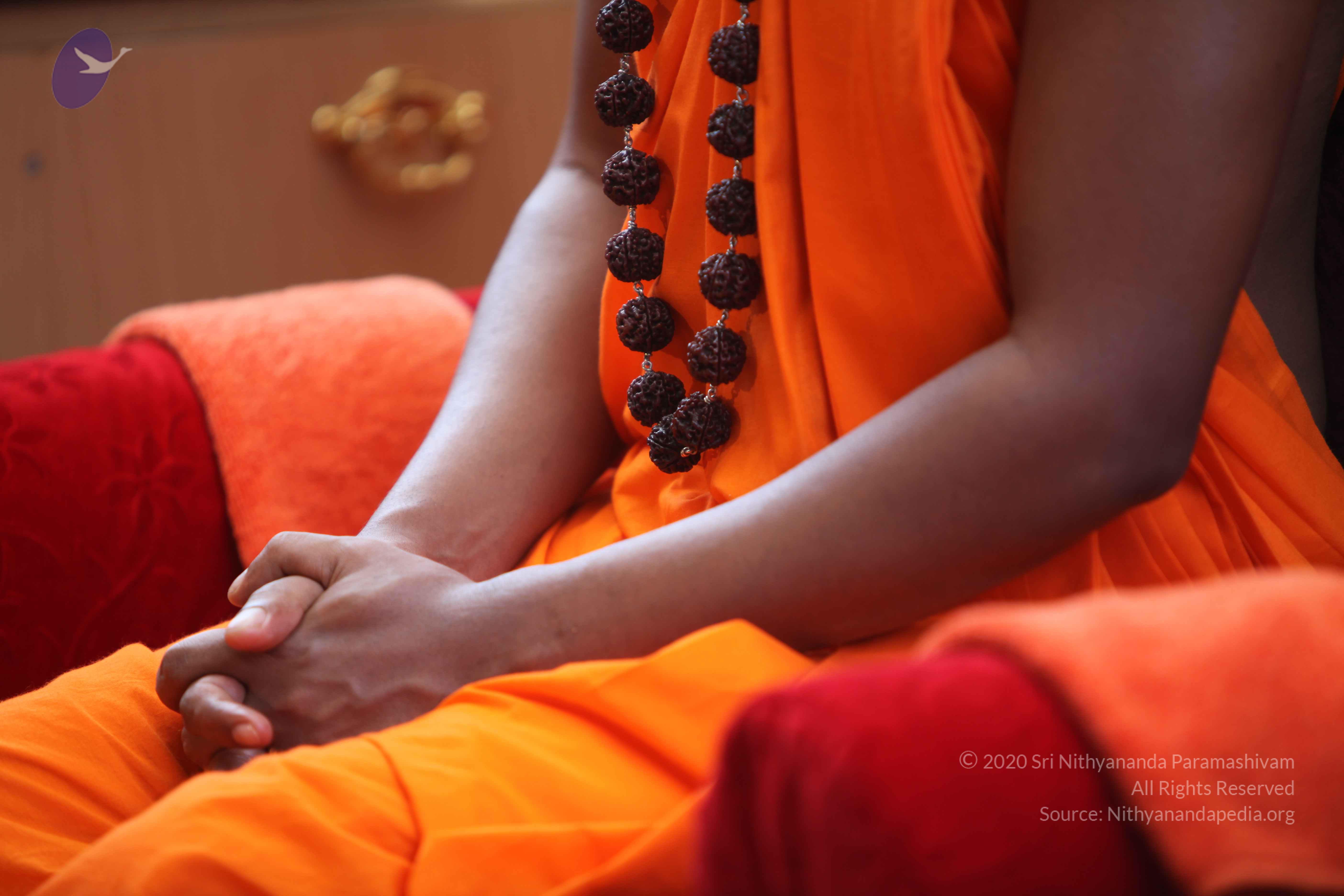 20101103_Photo_1081_IMG_9163_CMP_WM