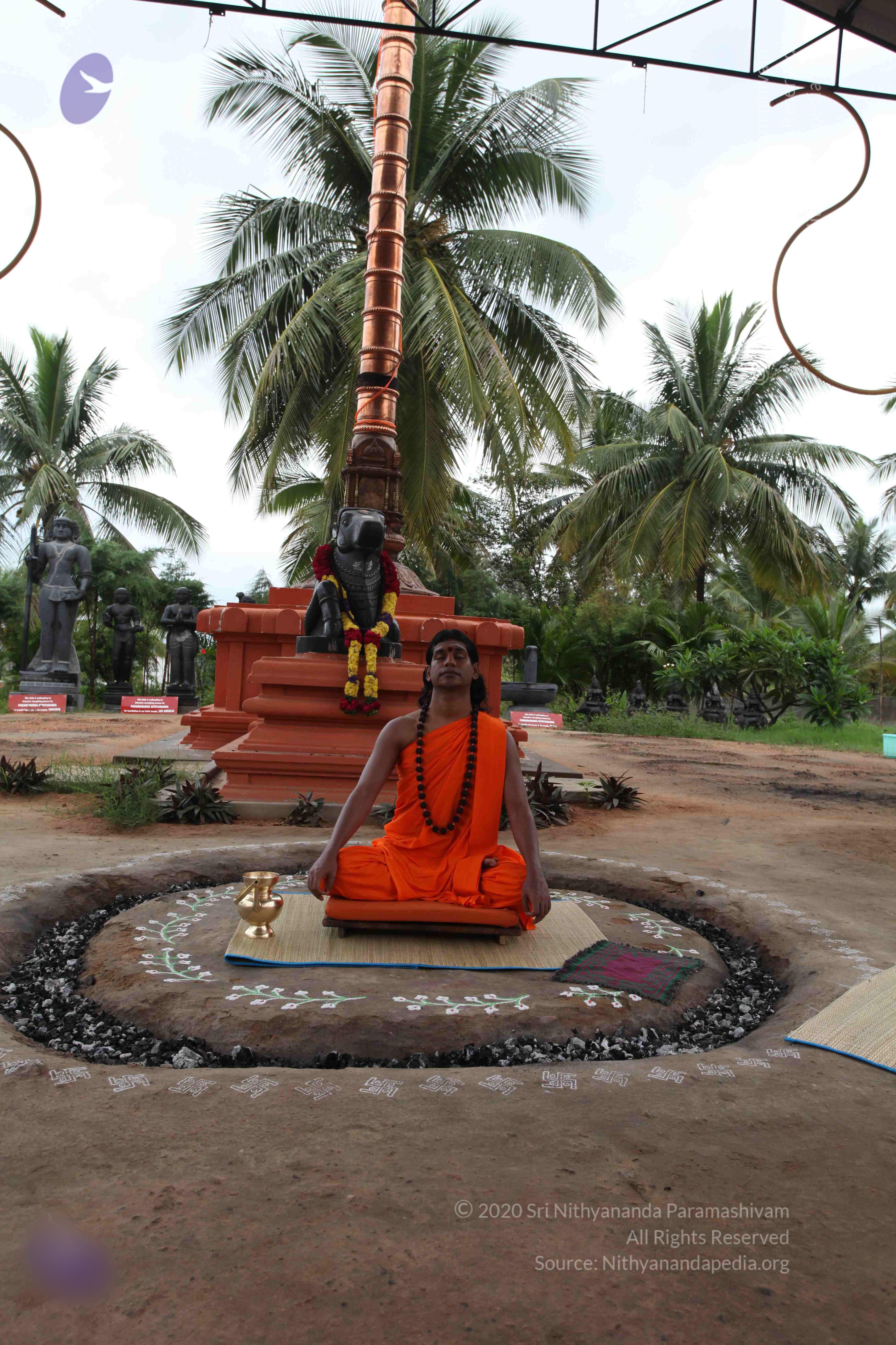 20101103_Photo_1084_IMG_9094_CMP_WM