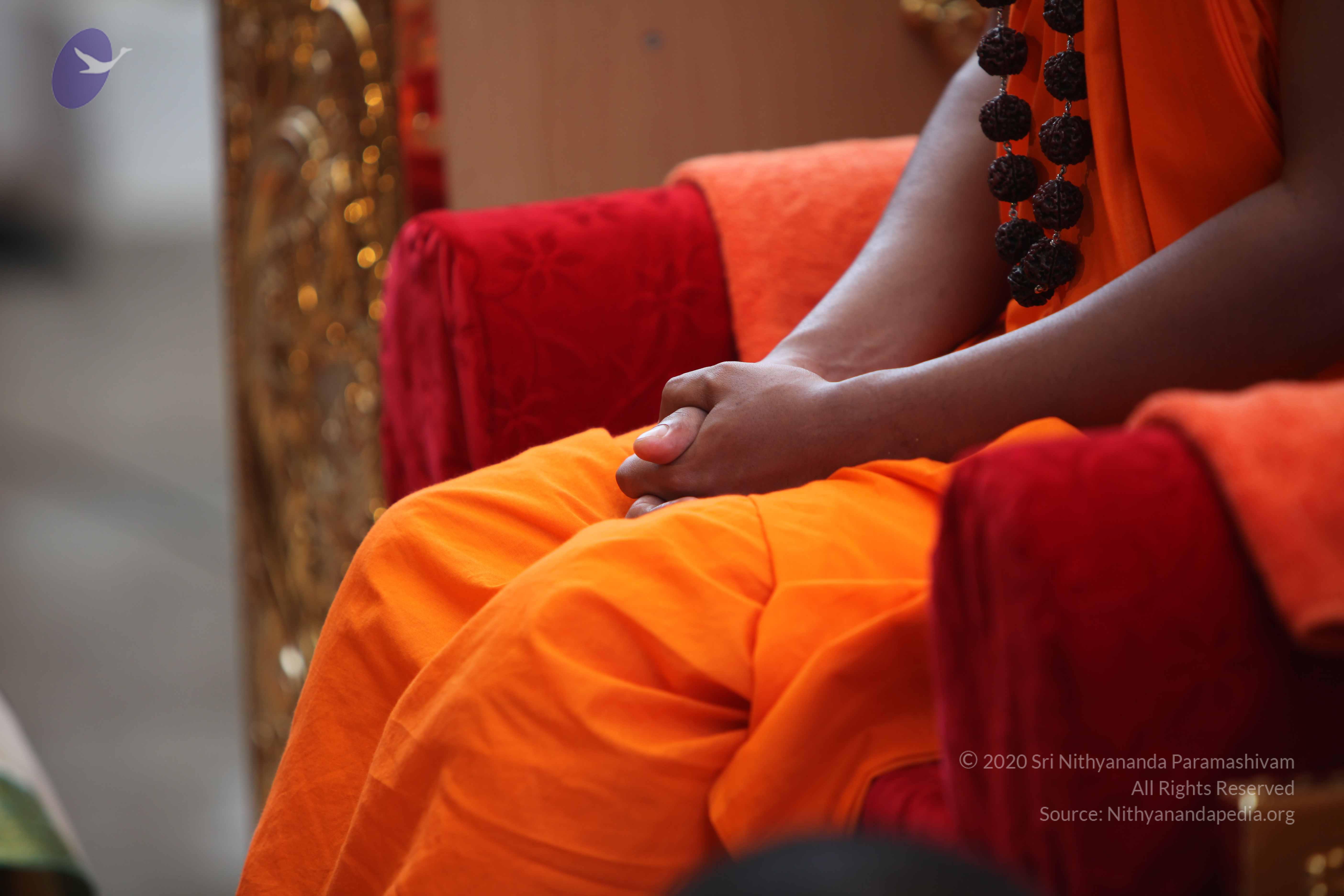 20101103_Photo_1086_IMG_9148_CMP_WM