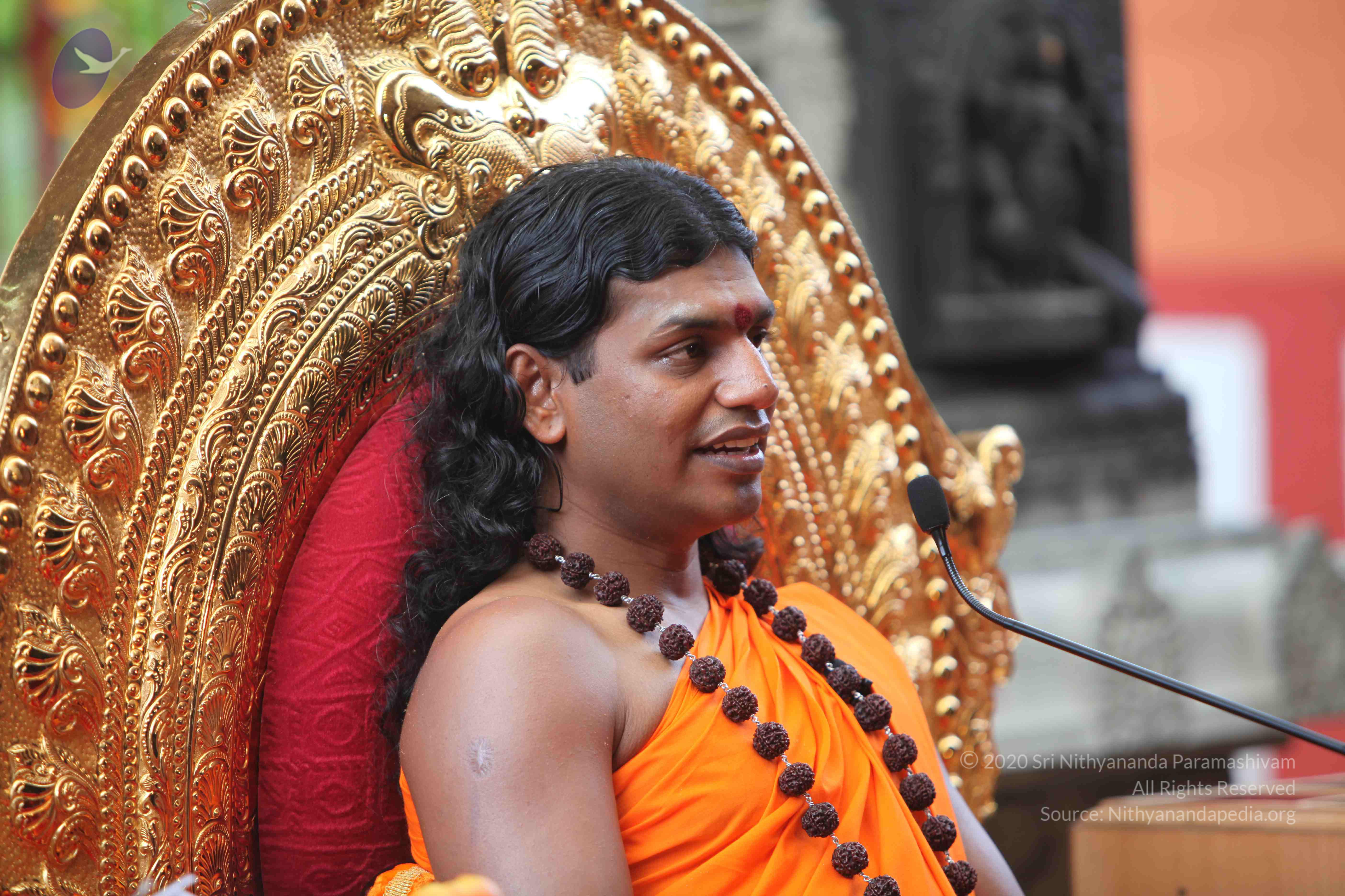 20101103_Photo_1087_IMG_9335_CMP_WM