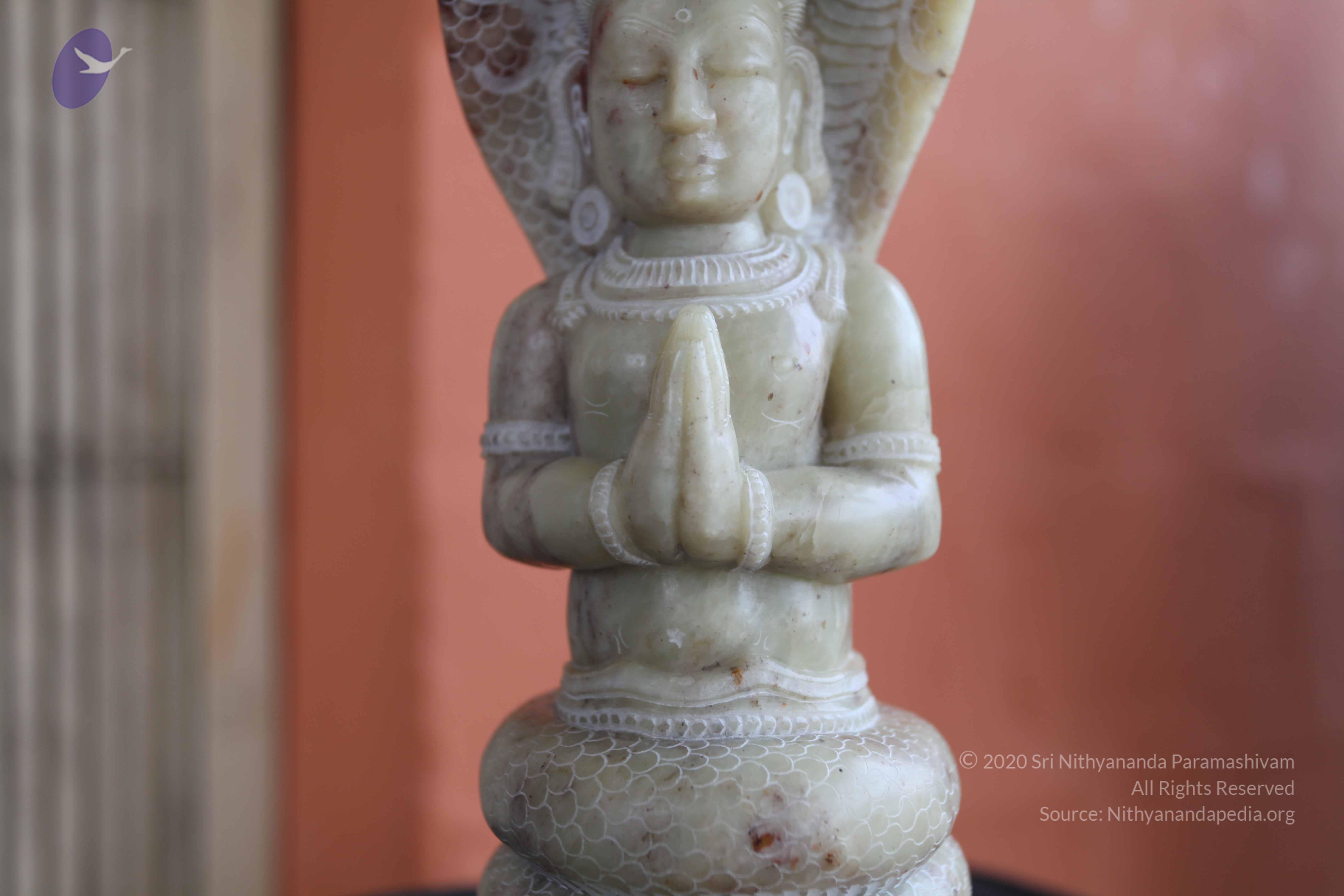 20101103_Photo_1090_IMG_9402_CMP_WM