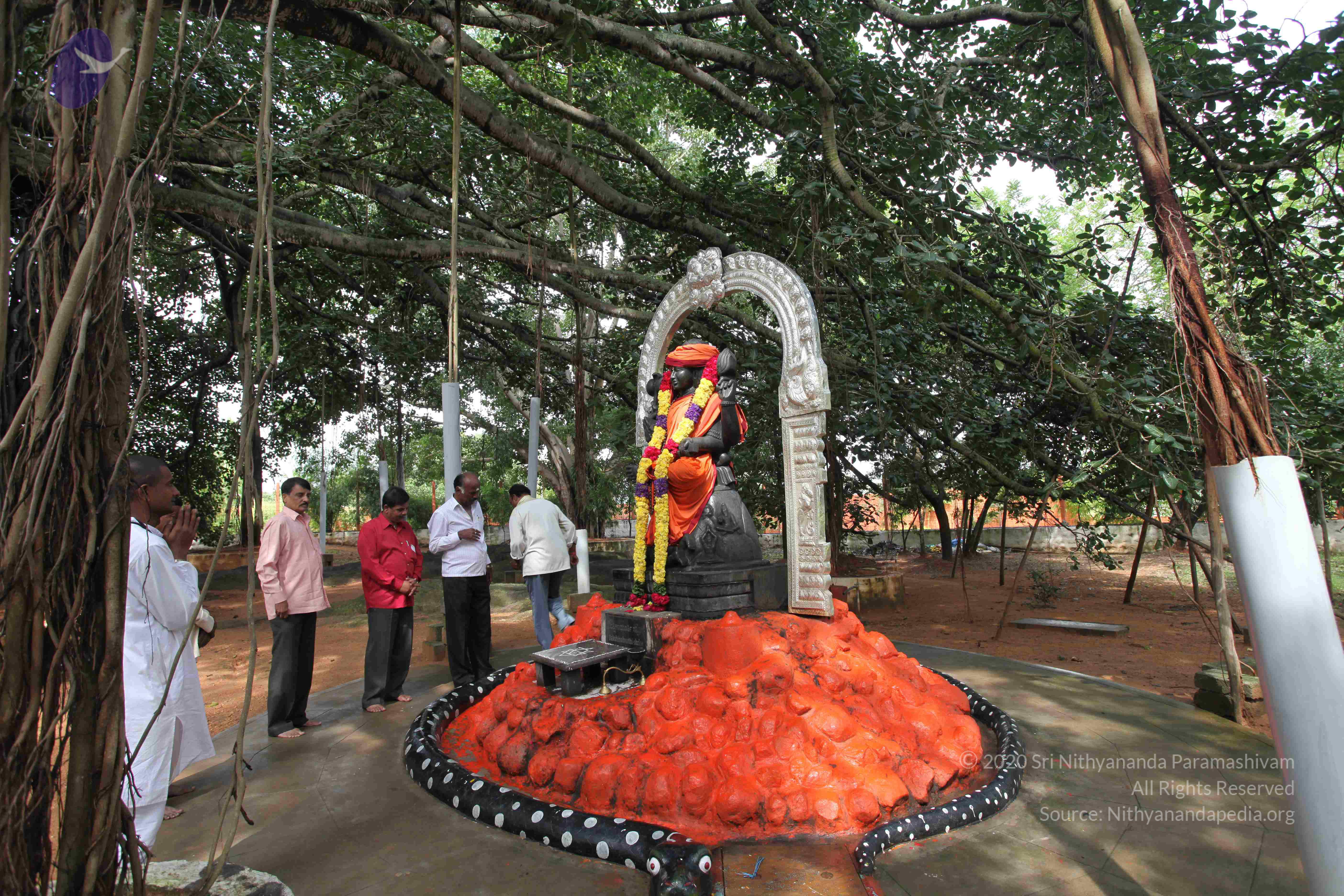 20101103_Photo_1096_IMG_9413_CMP_WM