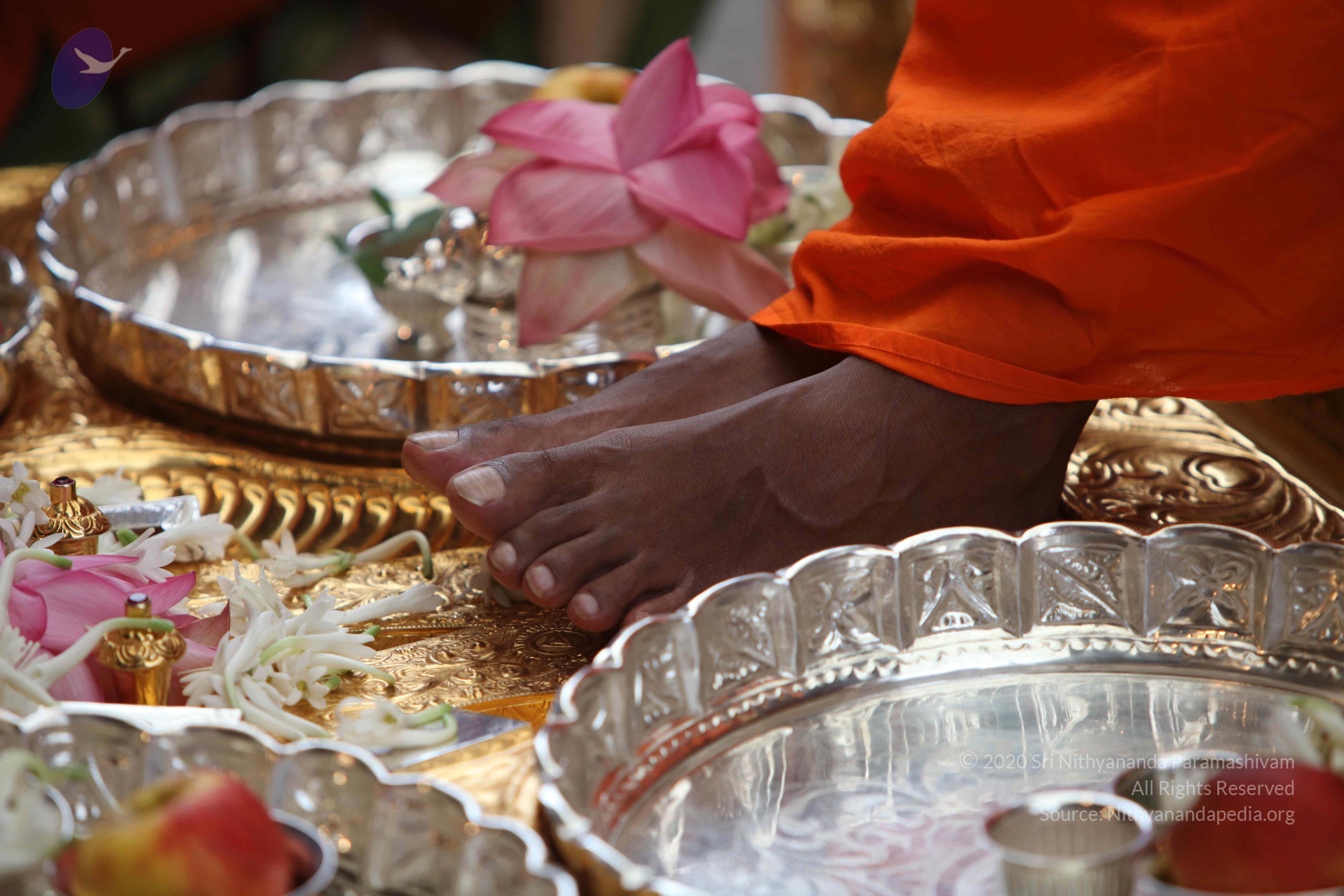 20101103_Photo_1098_IMG_9159_CMP_WM