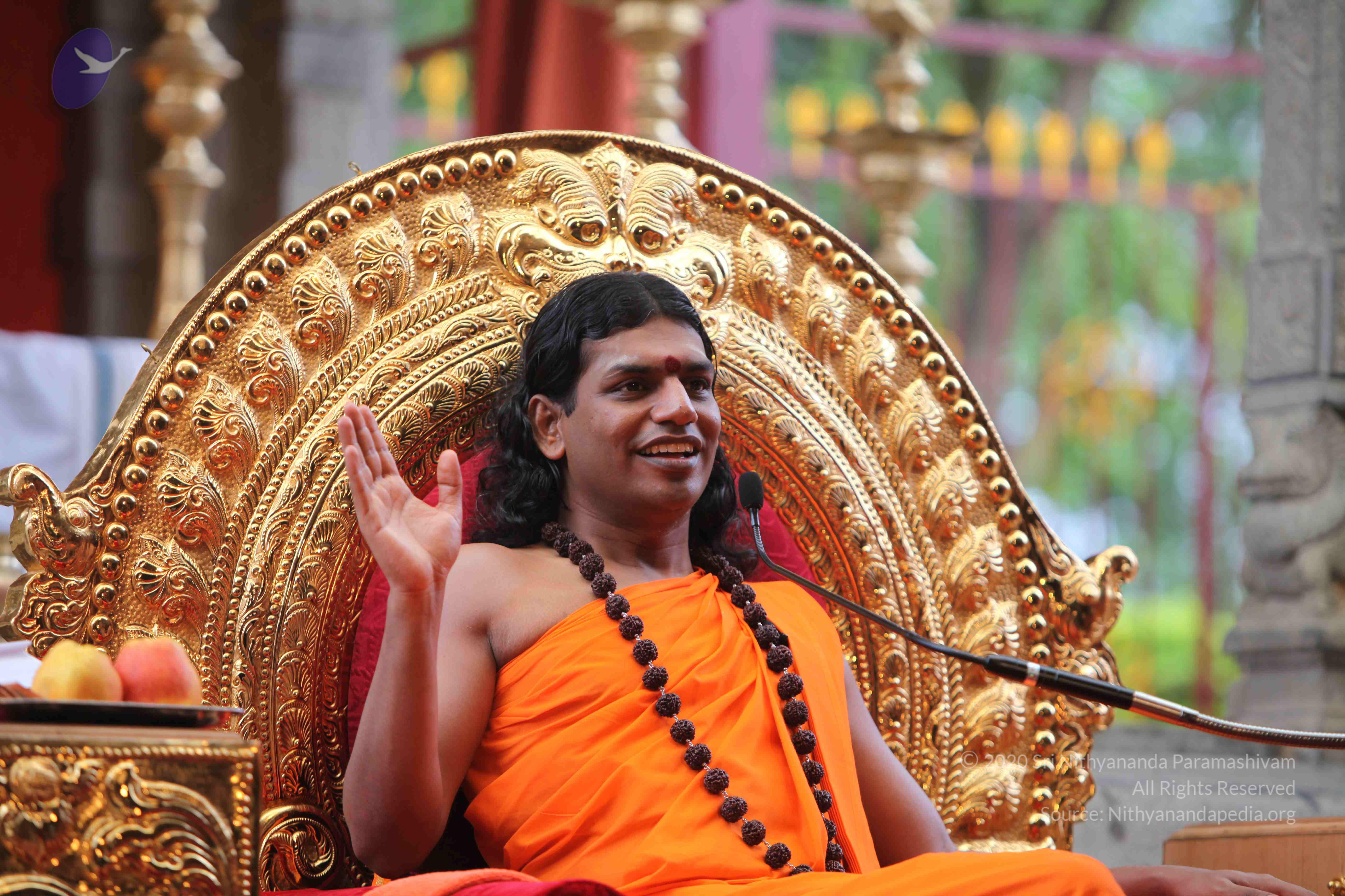 20101103_Photo_1100_IMG_9313_CMP_WM