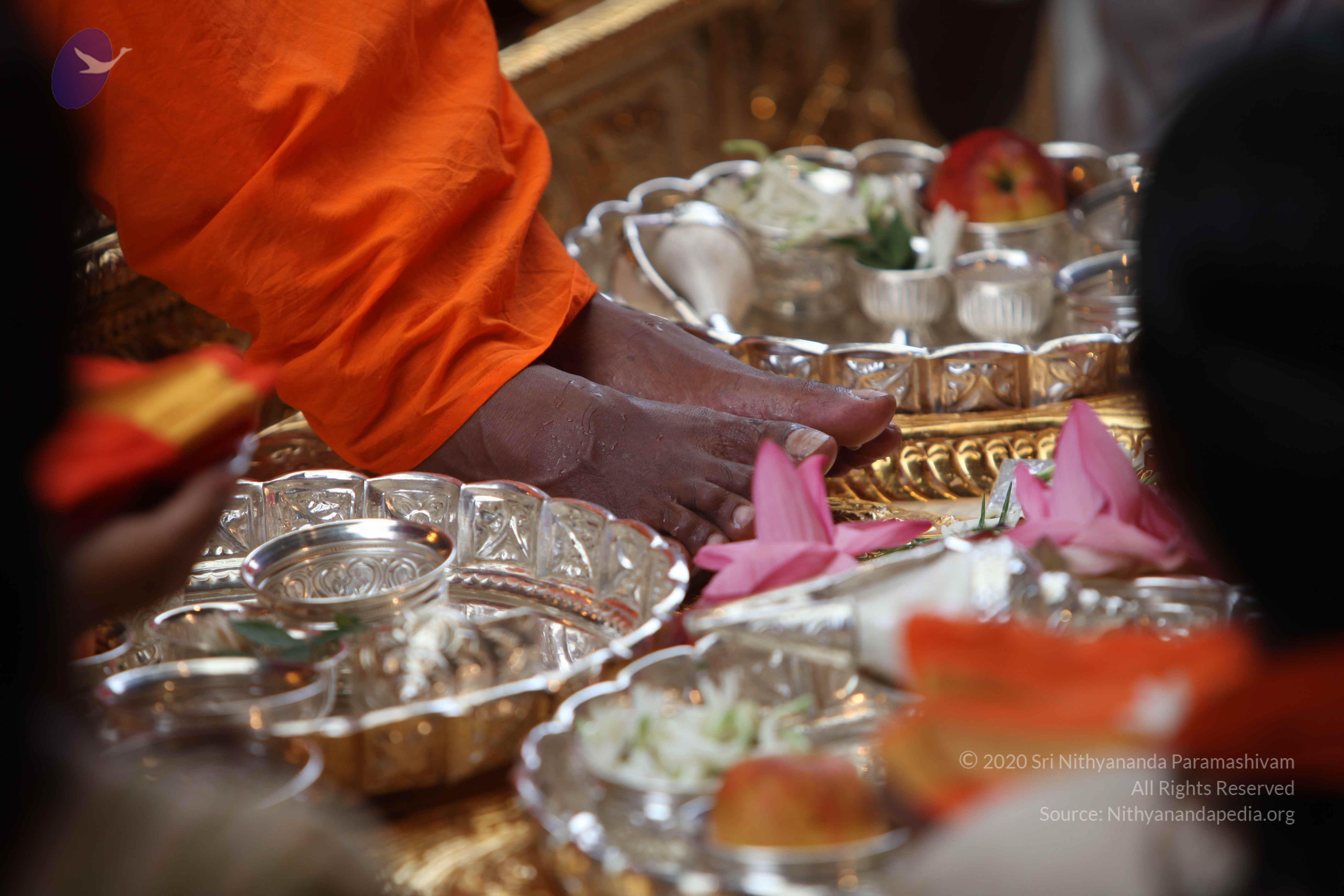 20101103_Photo_1101_IMG_9191_CMP_WM