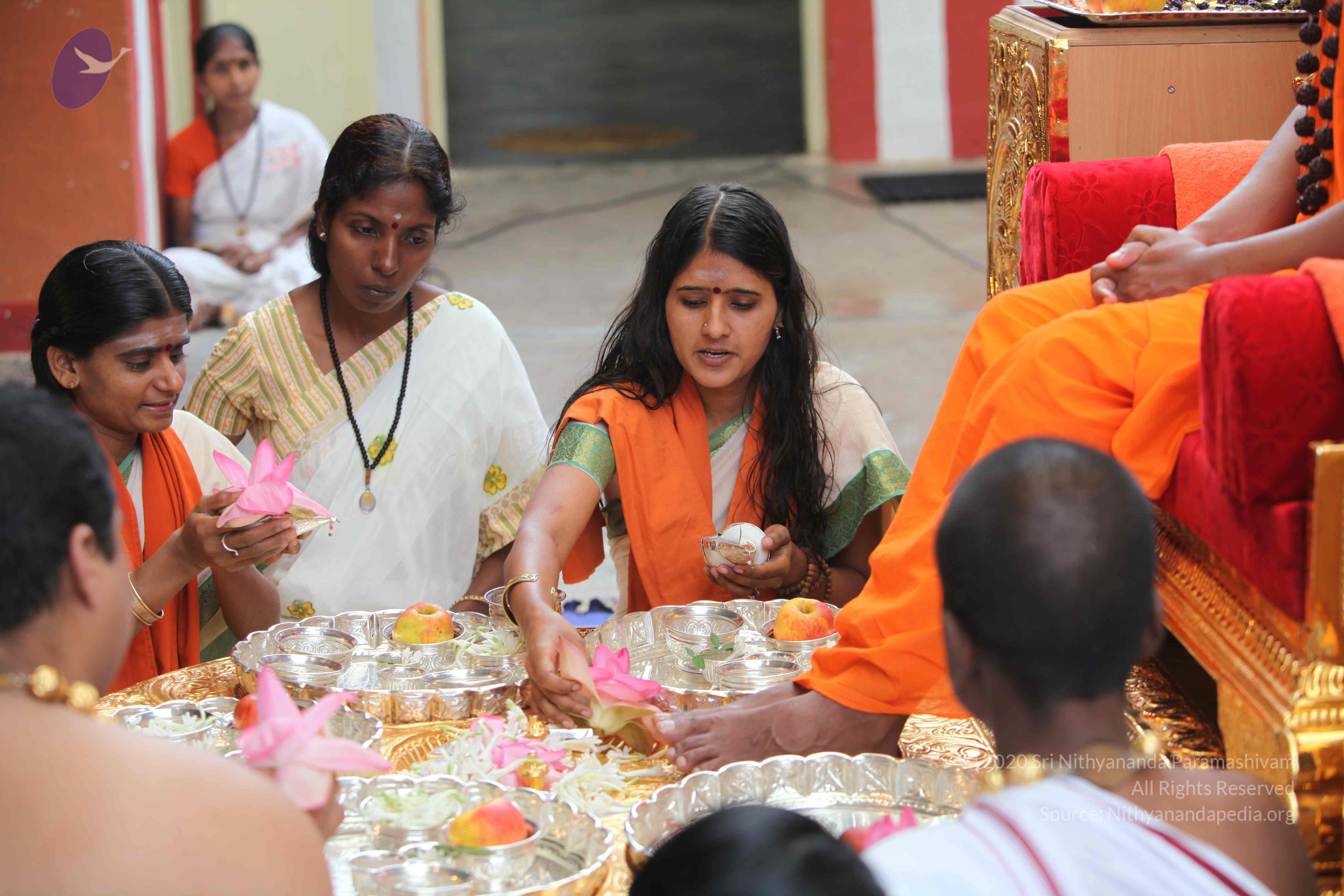 20101103_Photo_1103_IMG_9172_CMP_WM