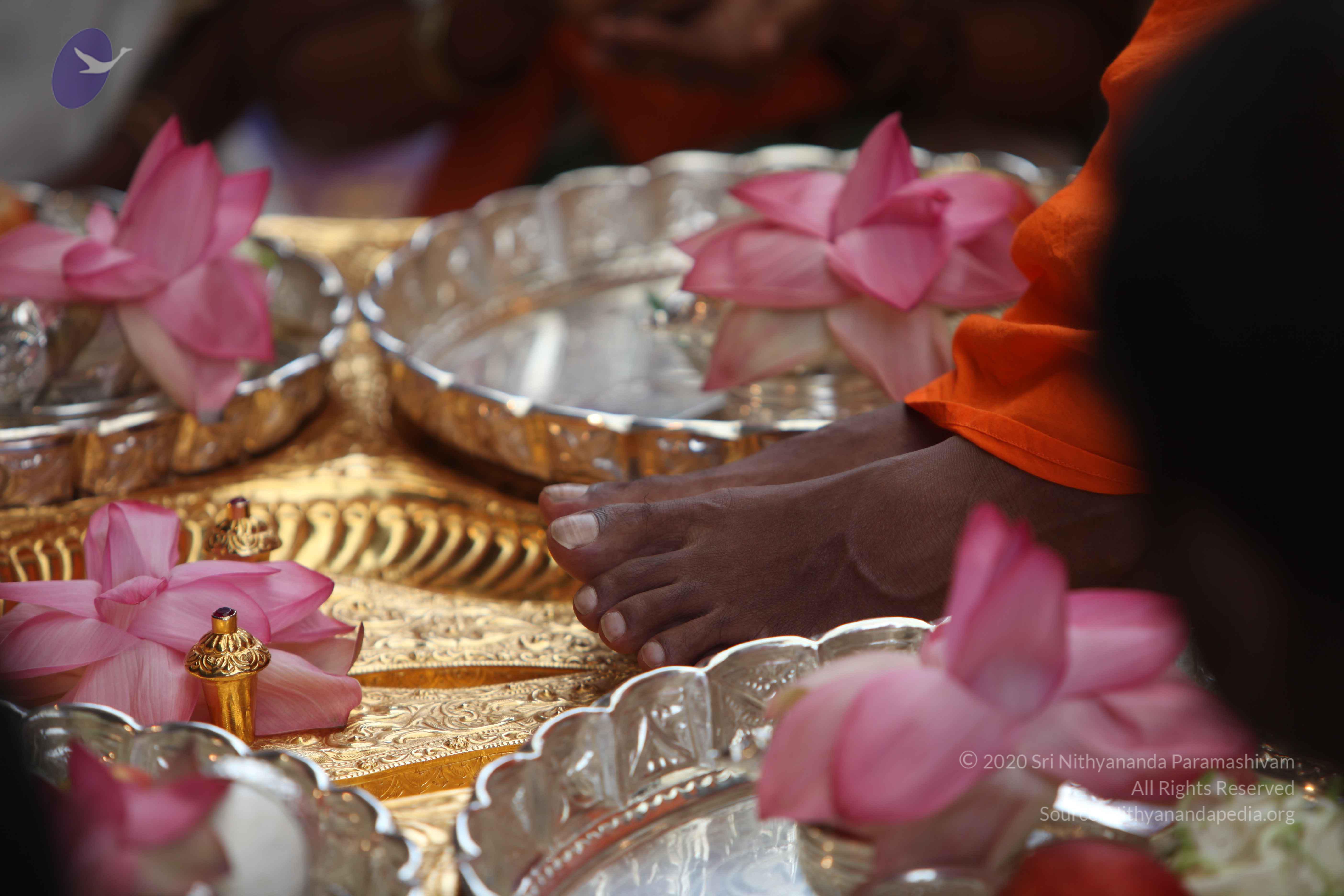 20101103_Photo_1104_IMG_9145_CMP_WM