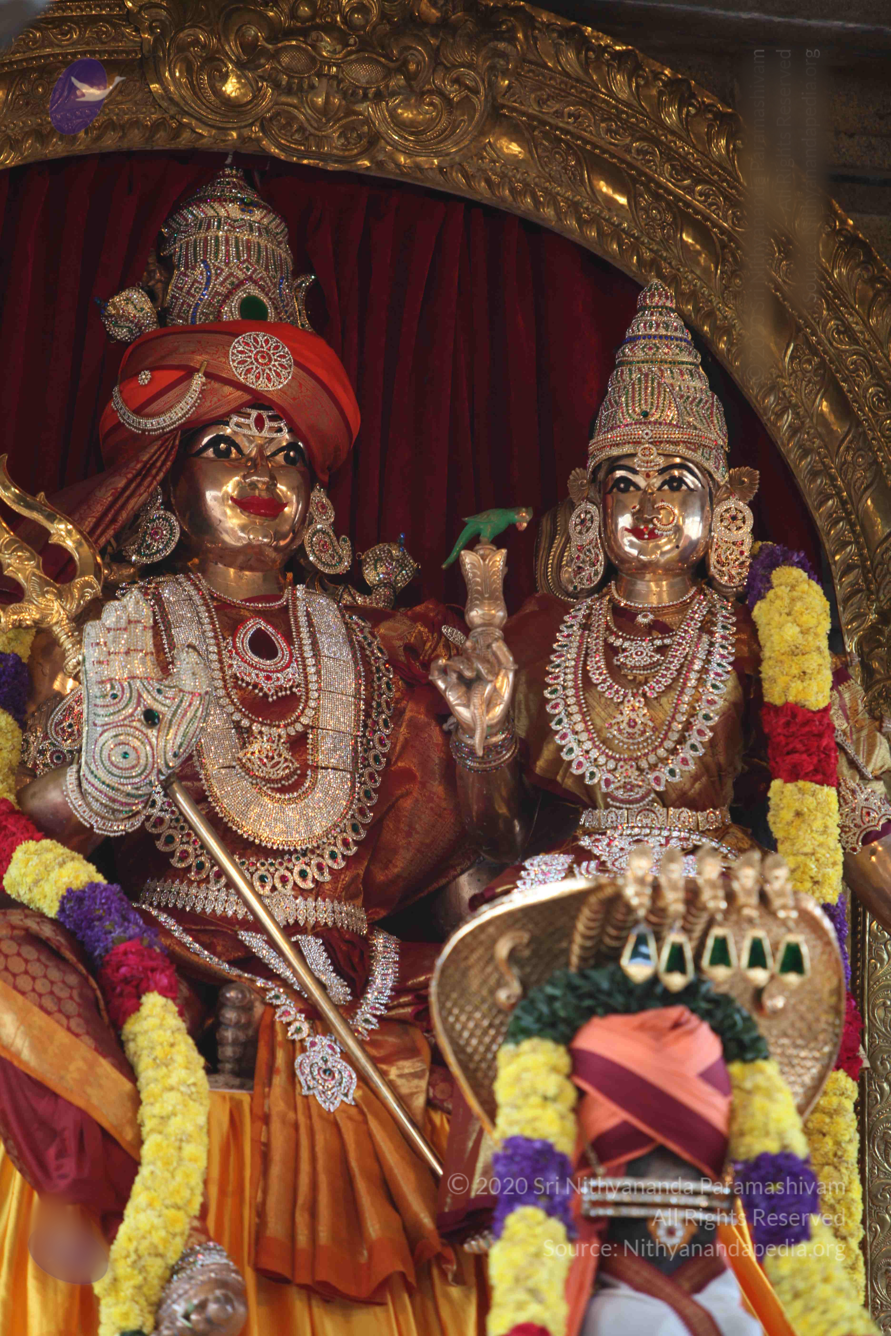 20101103_Photo_1107_IMG_9286_CMP_WM