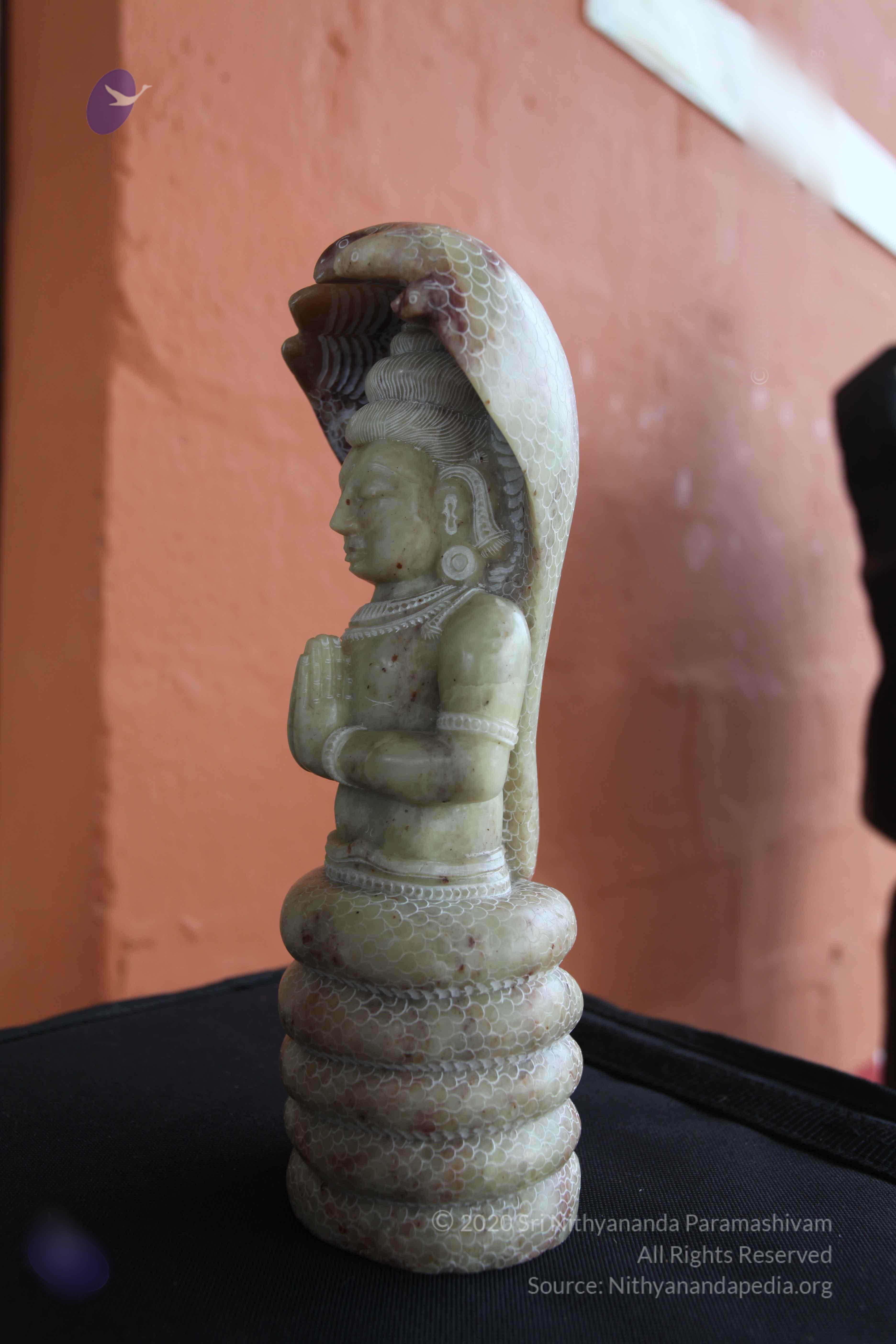 20101103_Photo_1108_IMG_9392_CMP_WM