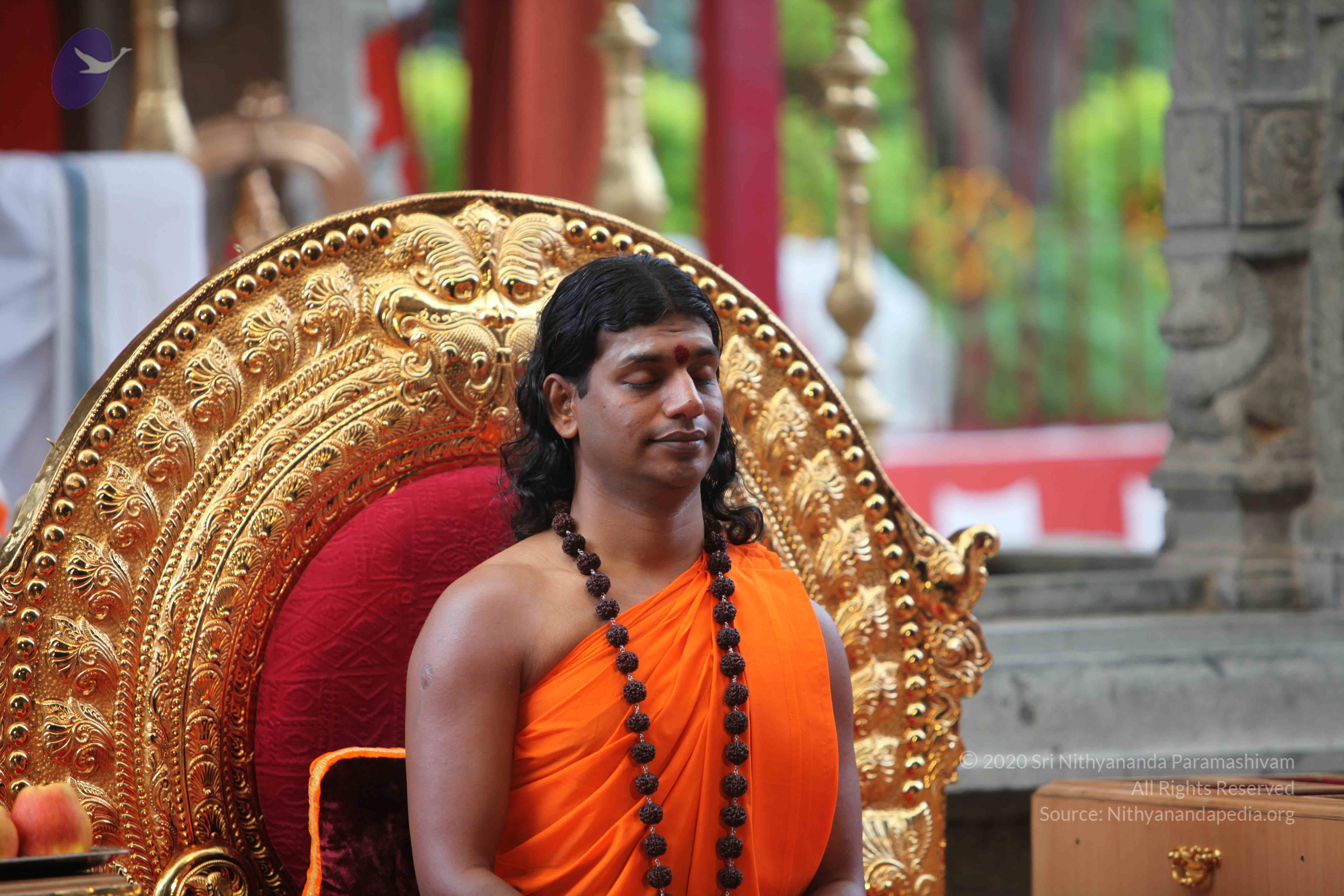 20101103_Photo_1109_IMG_9194_CMP_WM