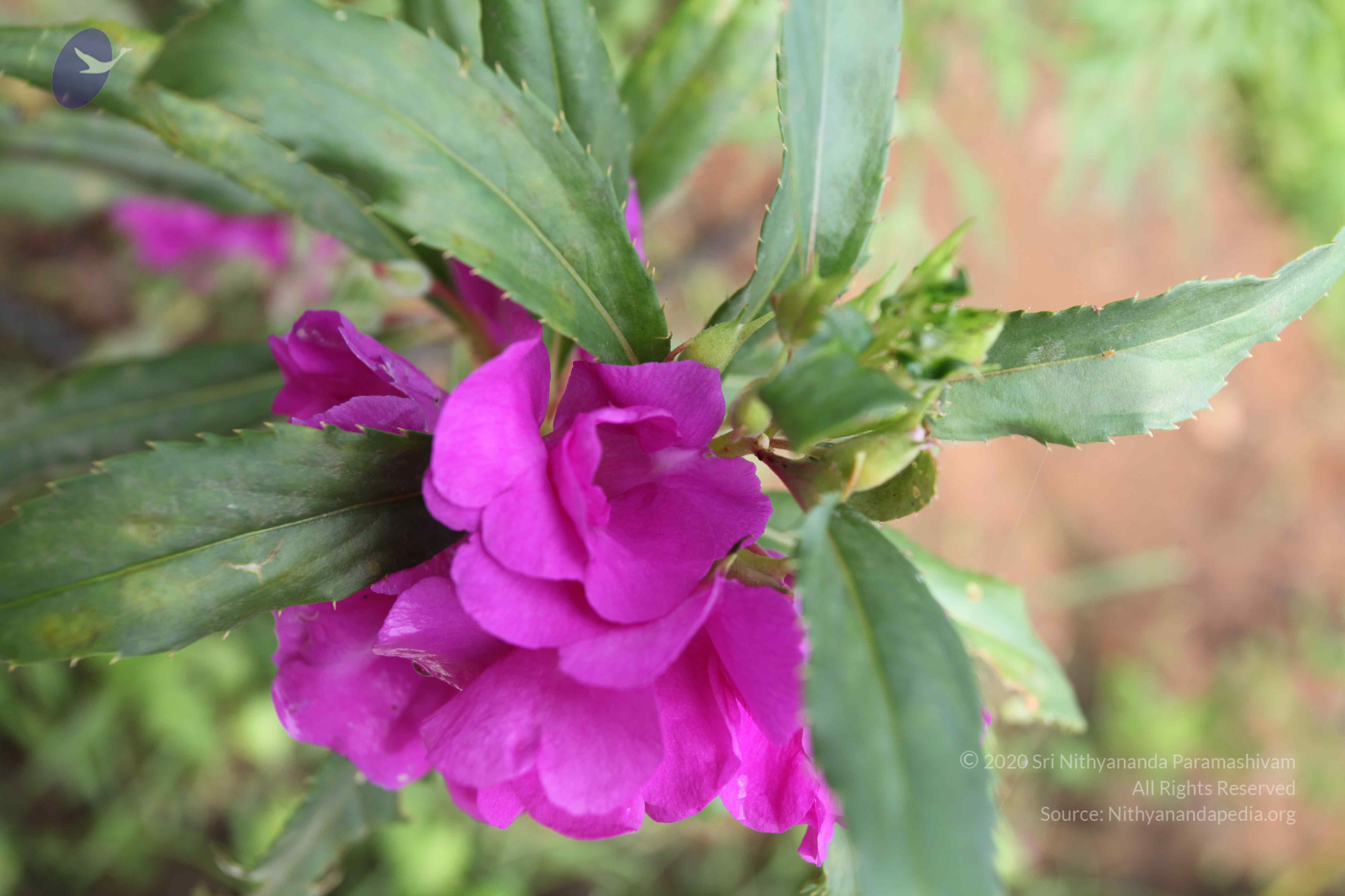 20101103_Photo_1114_IMG_9421_CMP_WM