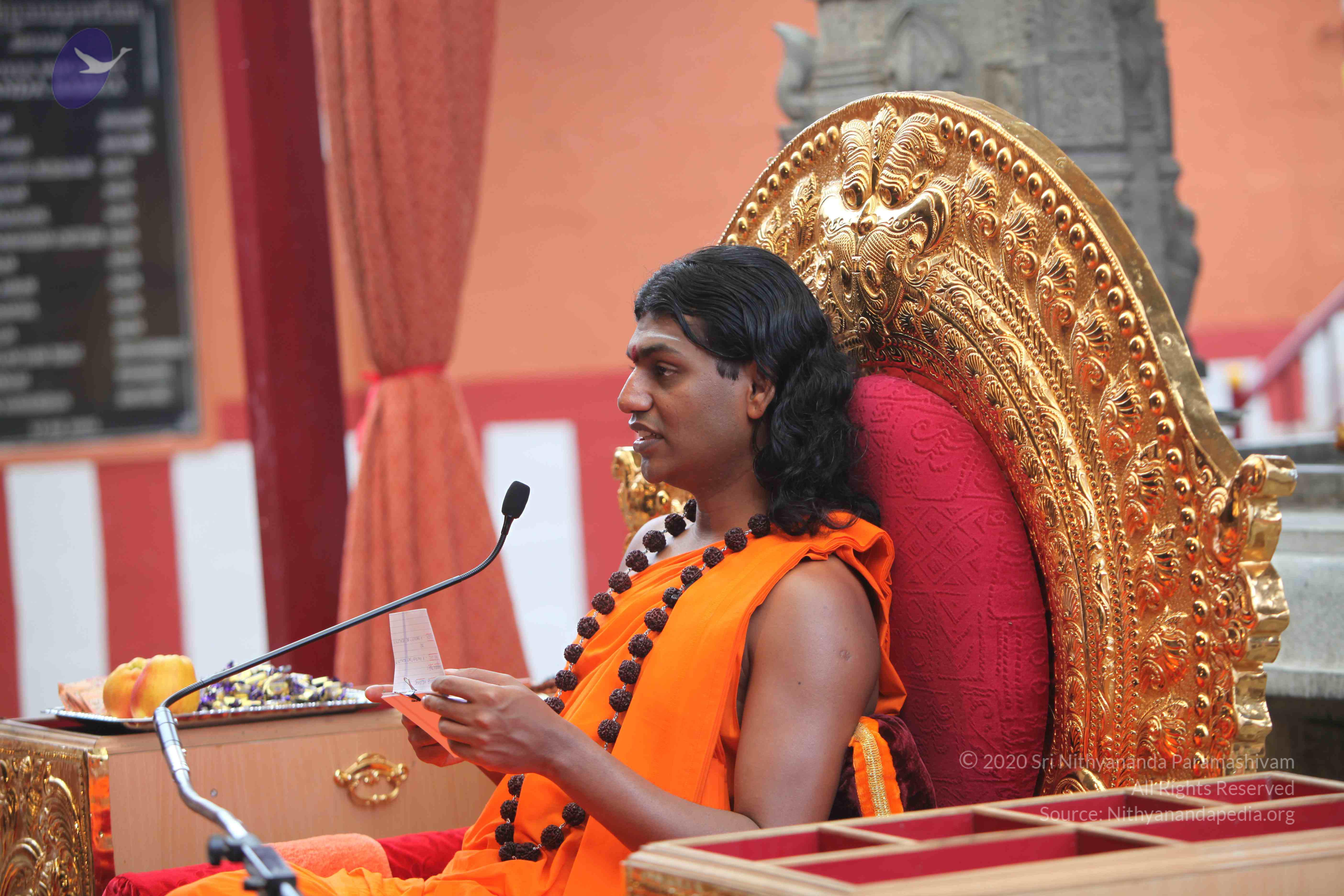 20101103_Photo_1115_IMG_9260_CMP_WM