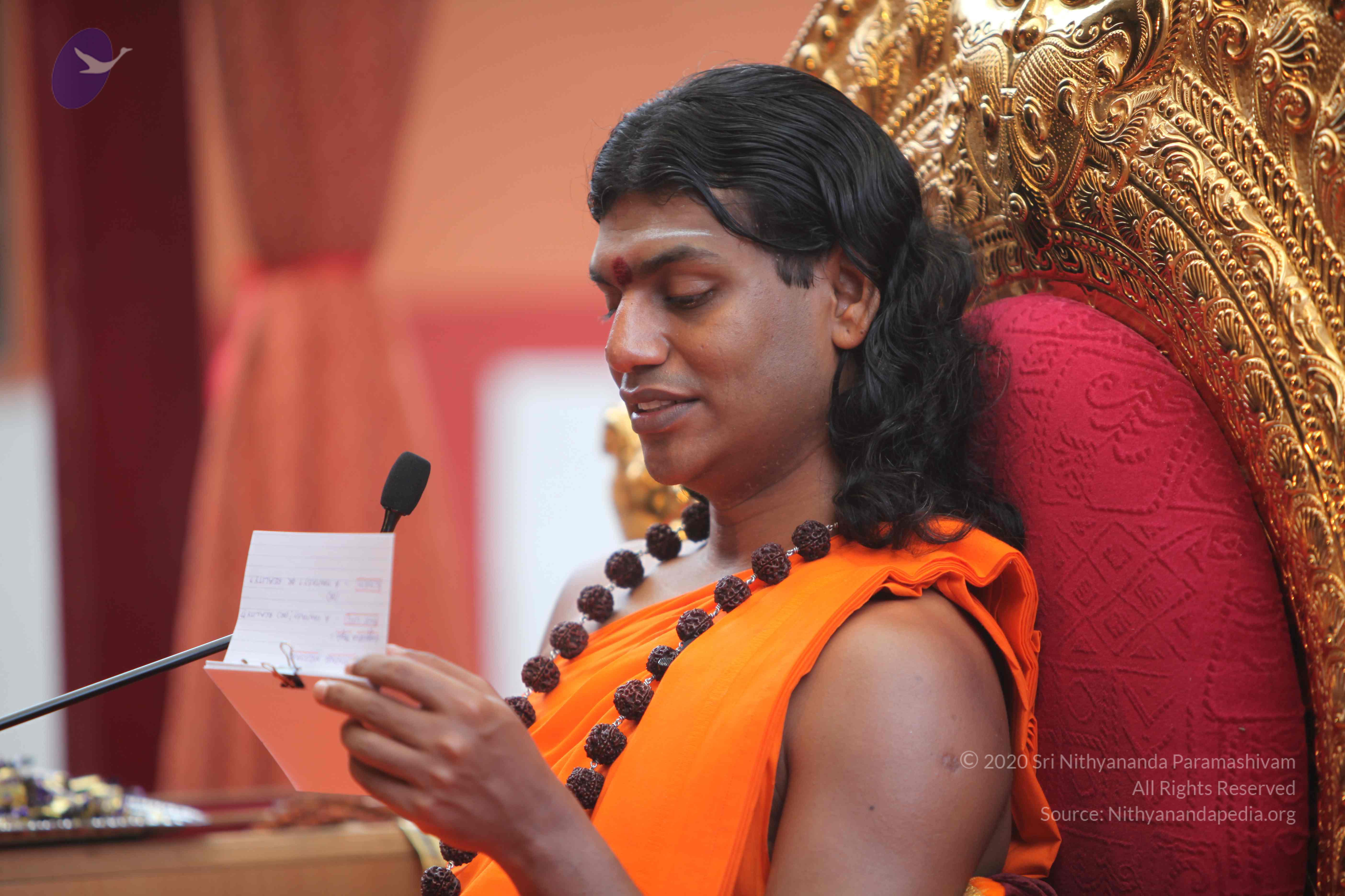 20101103_Photo_1116_IMG_9257_CMP_WM