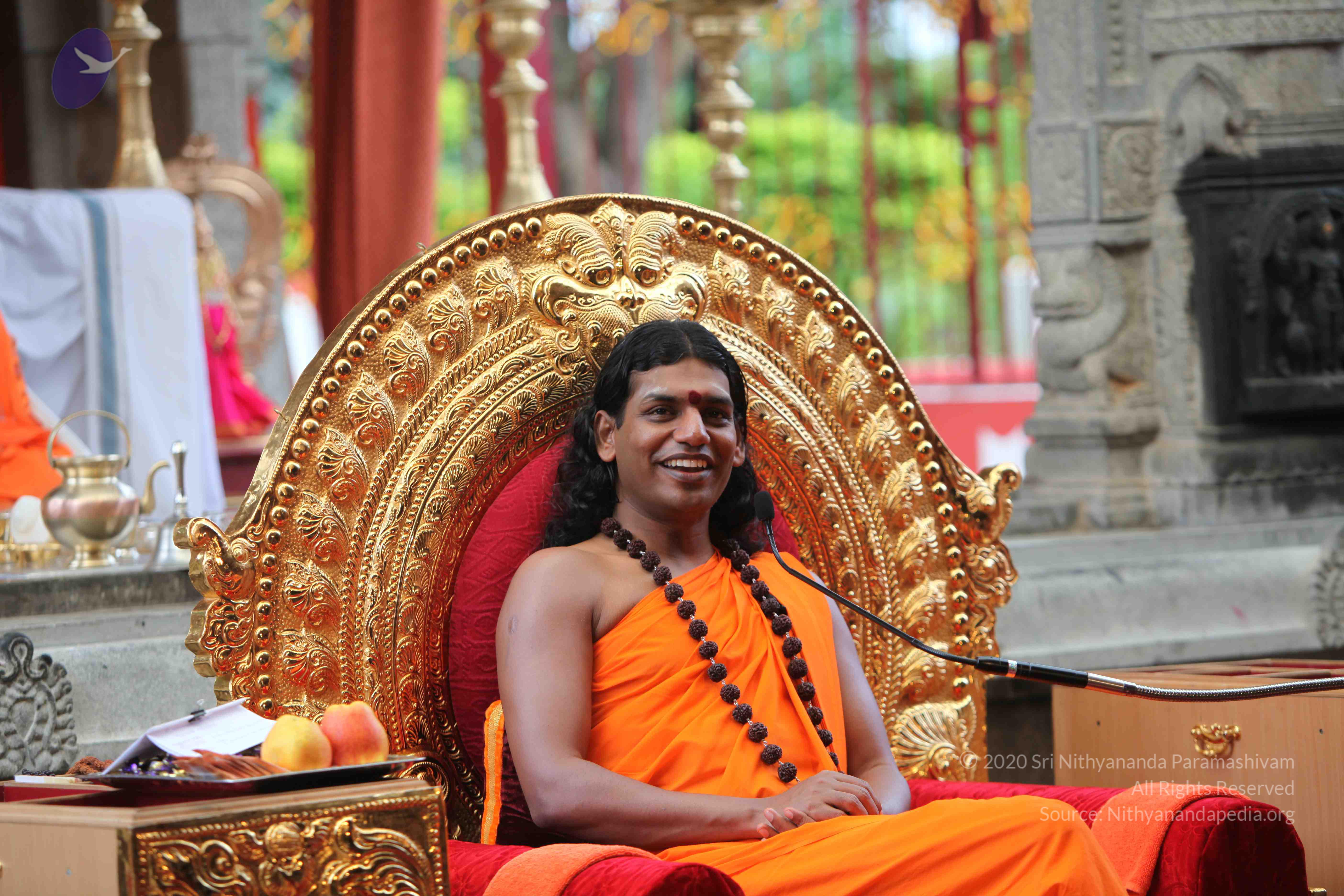 20101103_Photo_1117_IMG_9321_CMP_WM