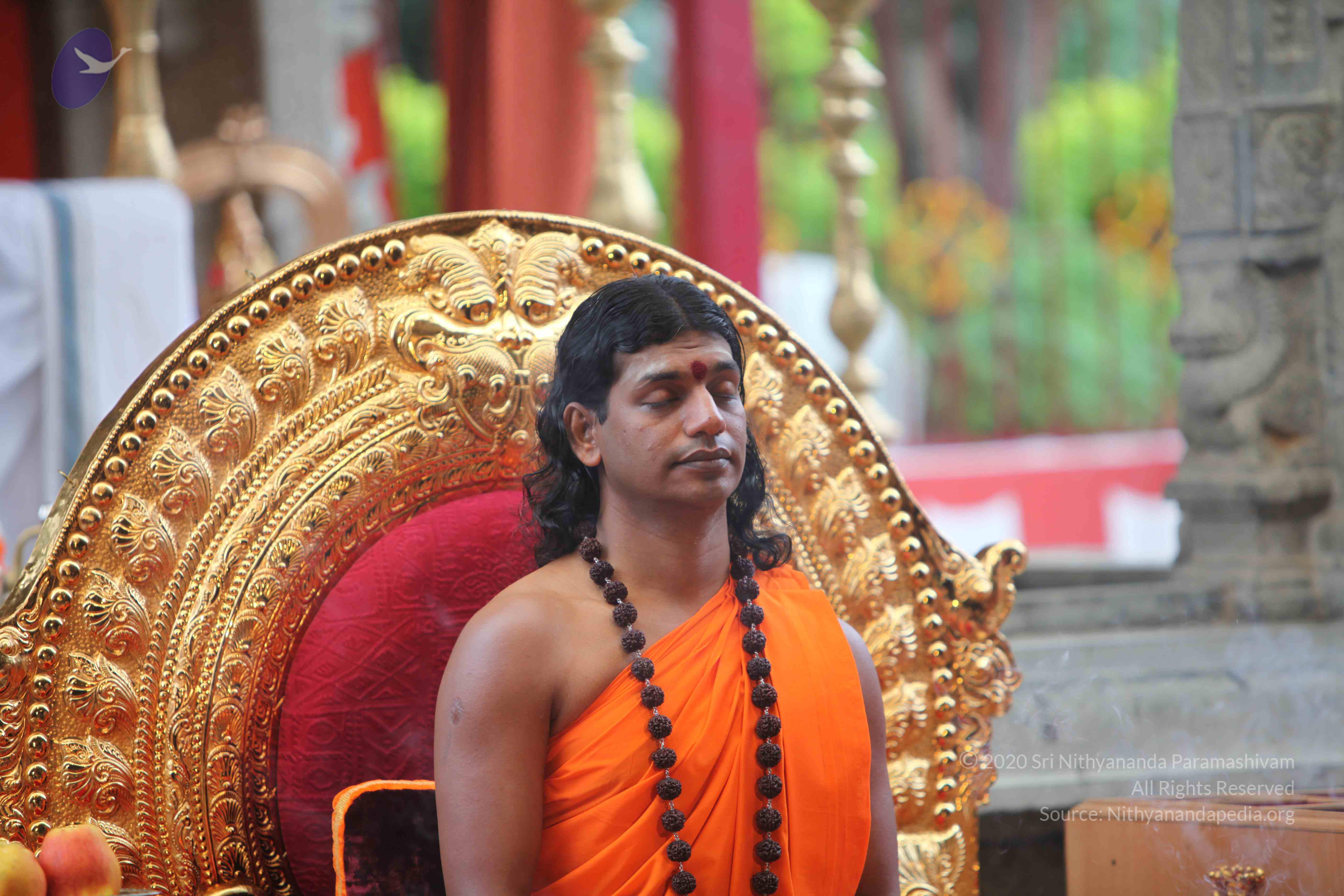 20101103_Photo_1118_IMG_9202_CMP_WM