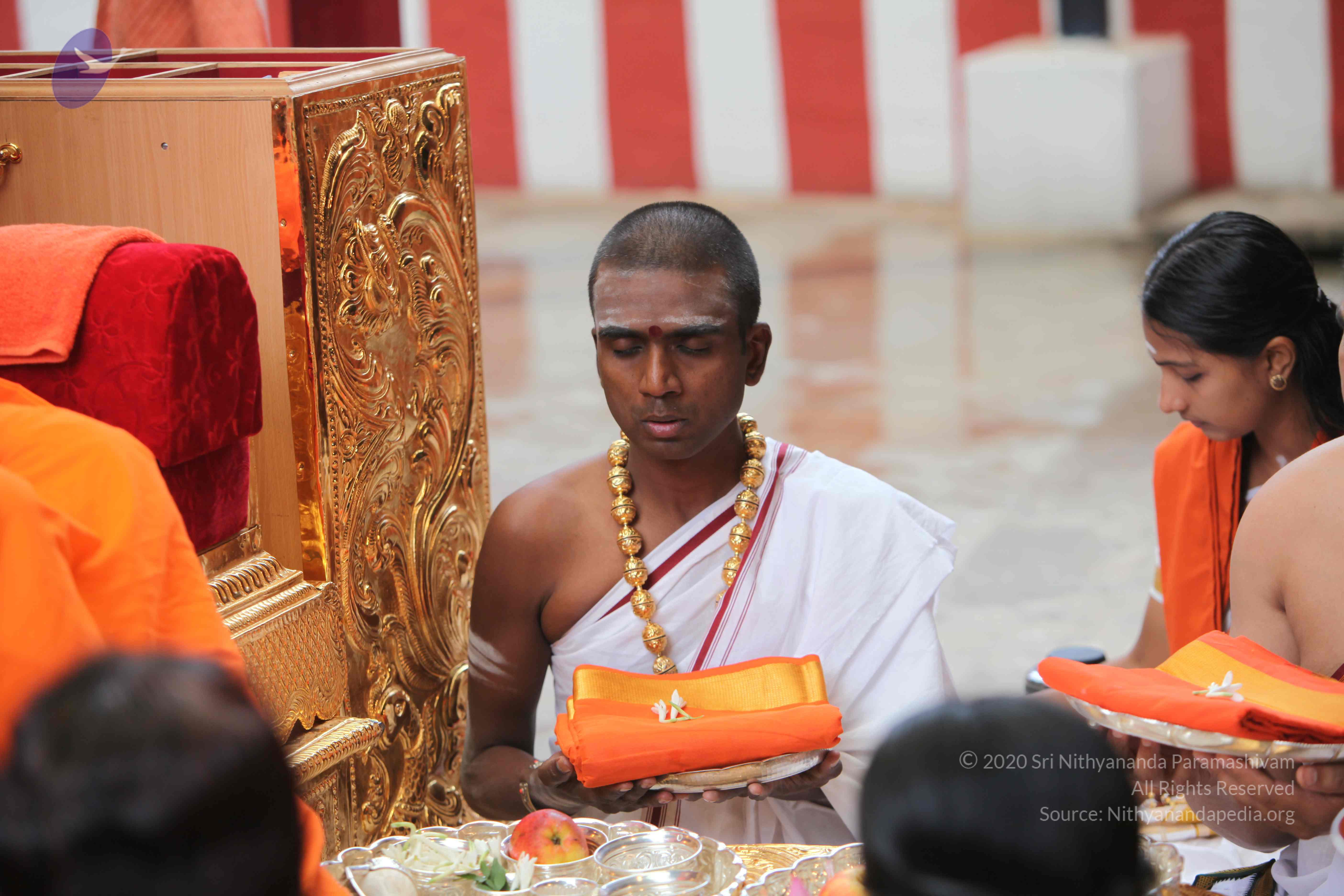 20101103_Photo_1119_IMG_9188_CMP_WM