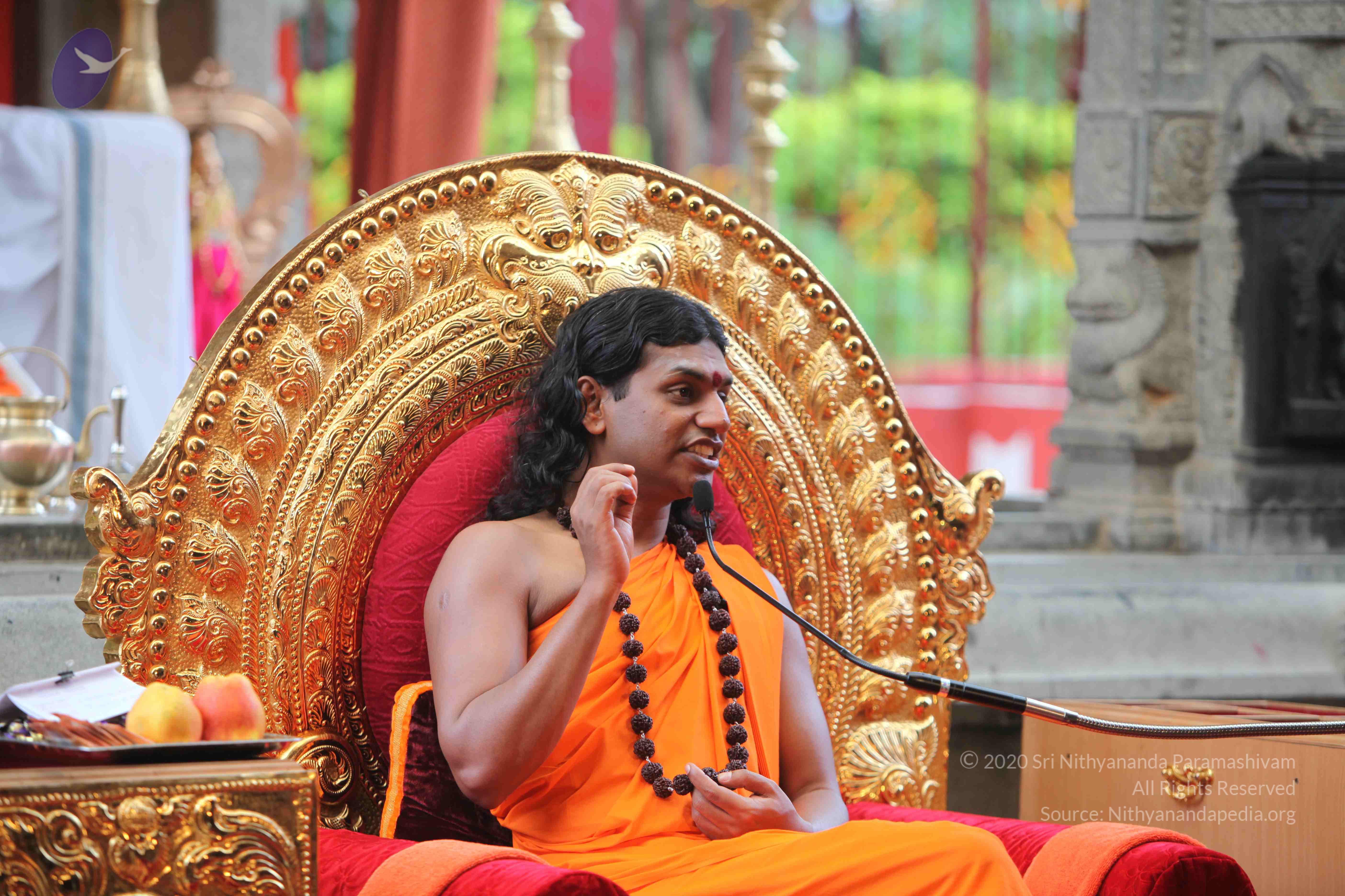 20101103_Photo_1121_IMG_9283_CMP_WM