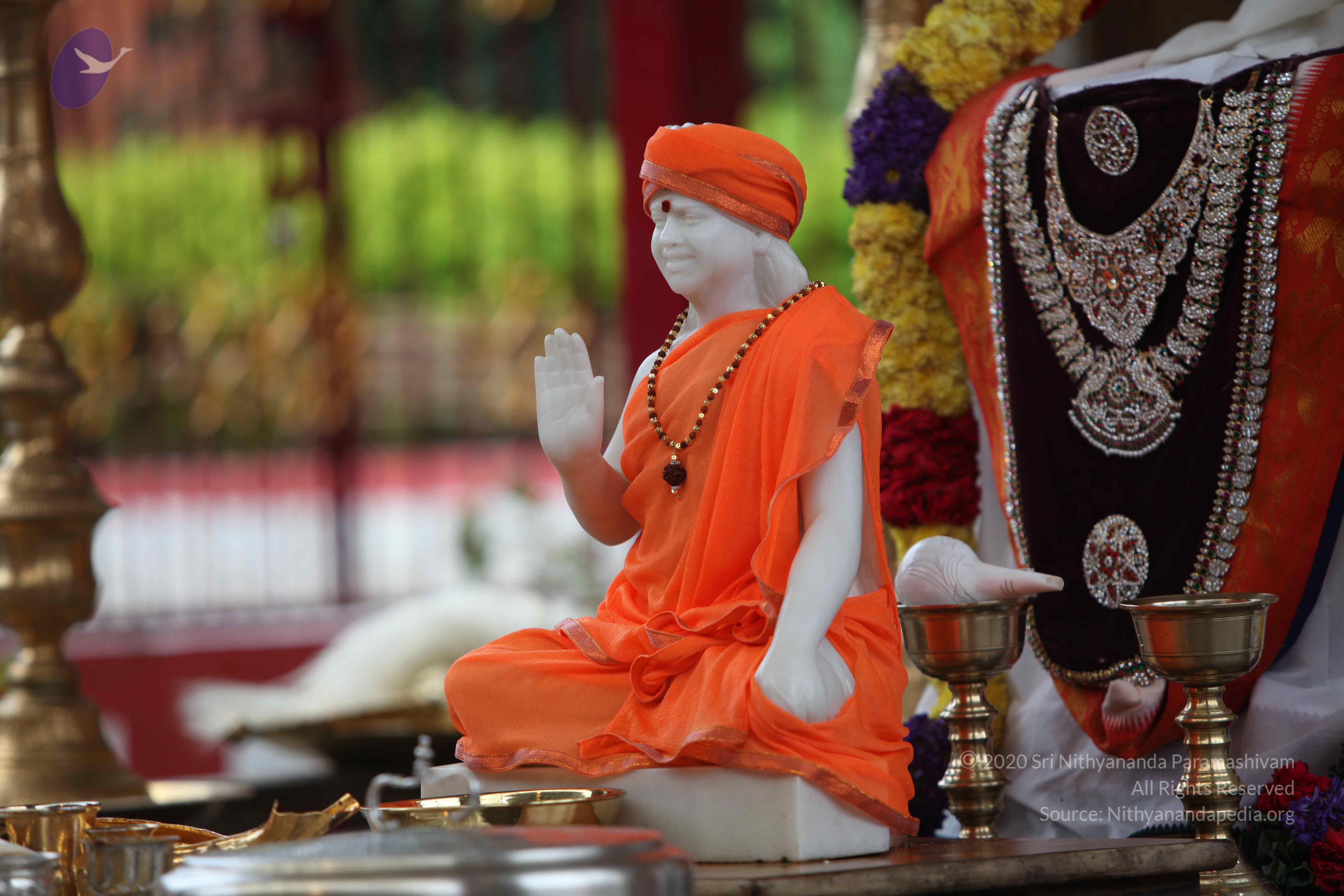 20101103_Photo_1125_IMG_9177_CMP_WM