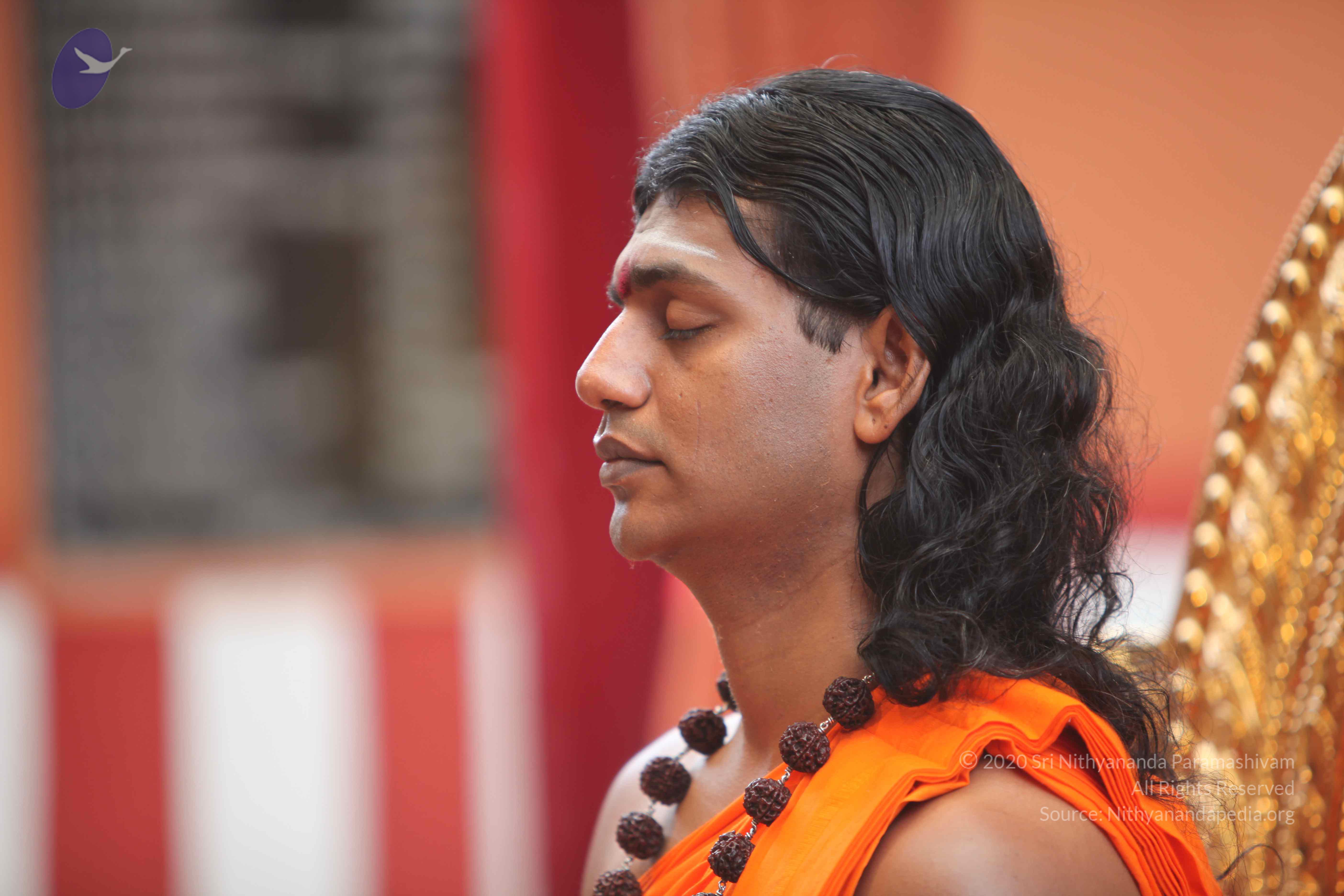 20101103_Photo_1127_IMG_9151_CMP_WM